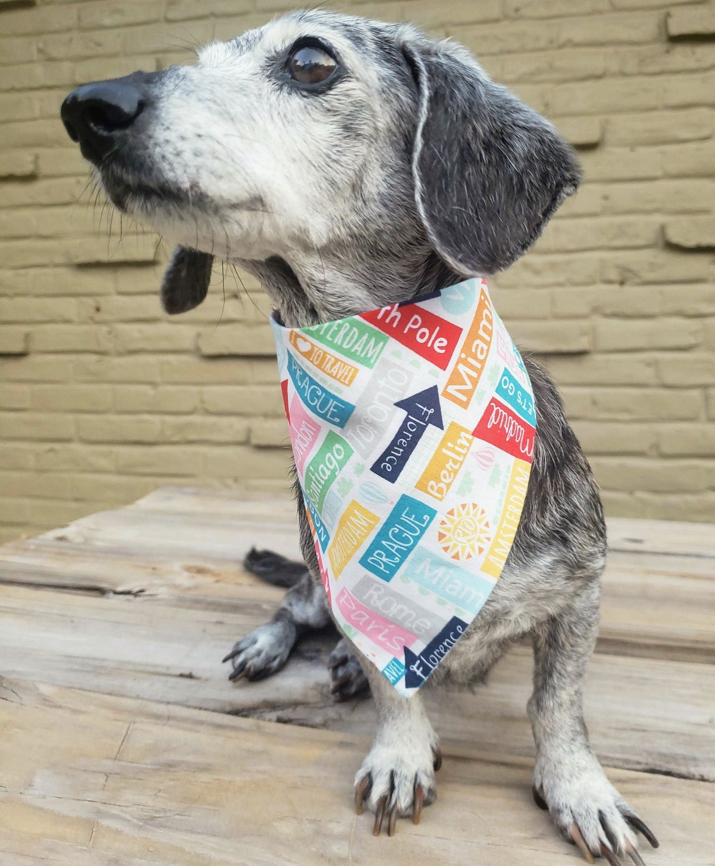 Clip on Dog Bandana With Buckle Pet Cat Bandanna Scarf Travel Destination Signs Print Handmade to Order