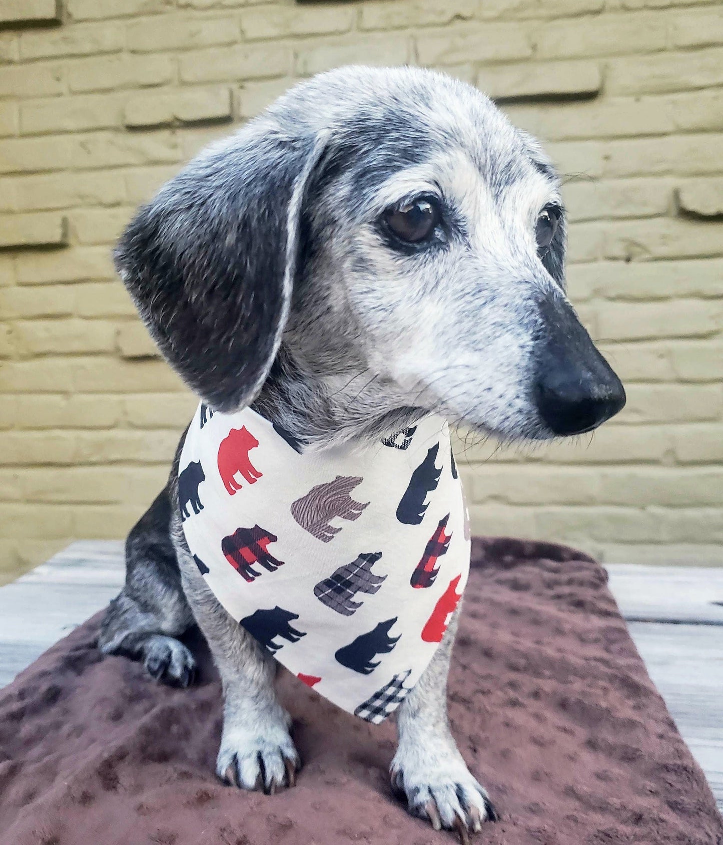 Bears Buffalo Plaid Check Holiday Clip on Dog Bandana With Buckle Pet Cat Bandanna Handmade to Order