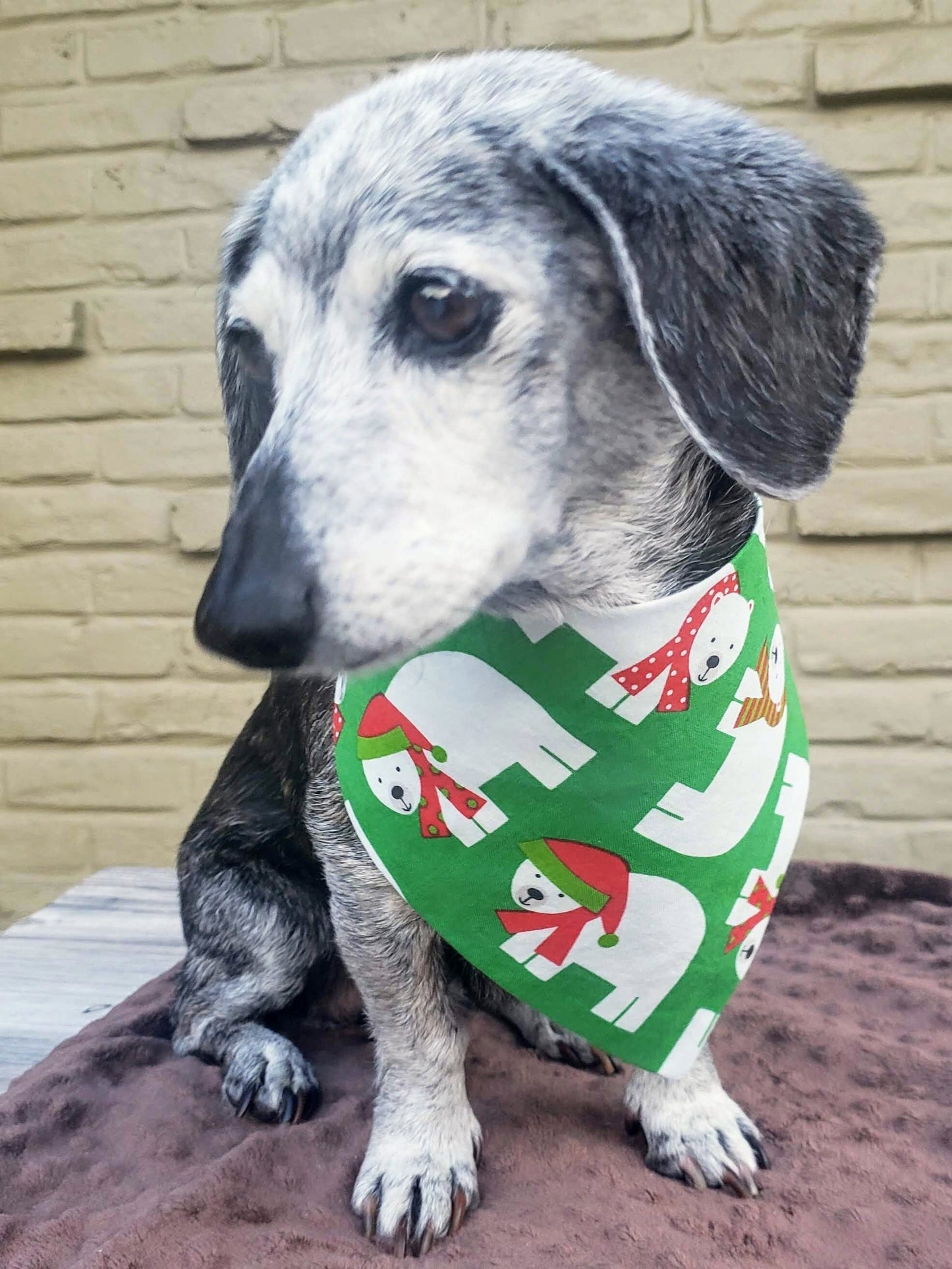 Polar Bears Christmas Holiday Winter Clip on Dog Bandana With Buckle Pet Cat Bandanna Handmade to Order