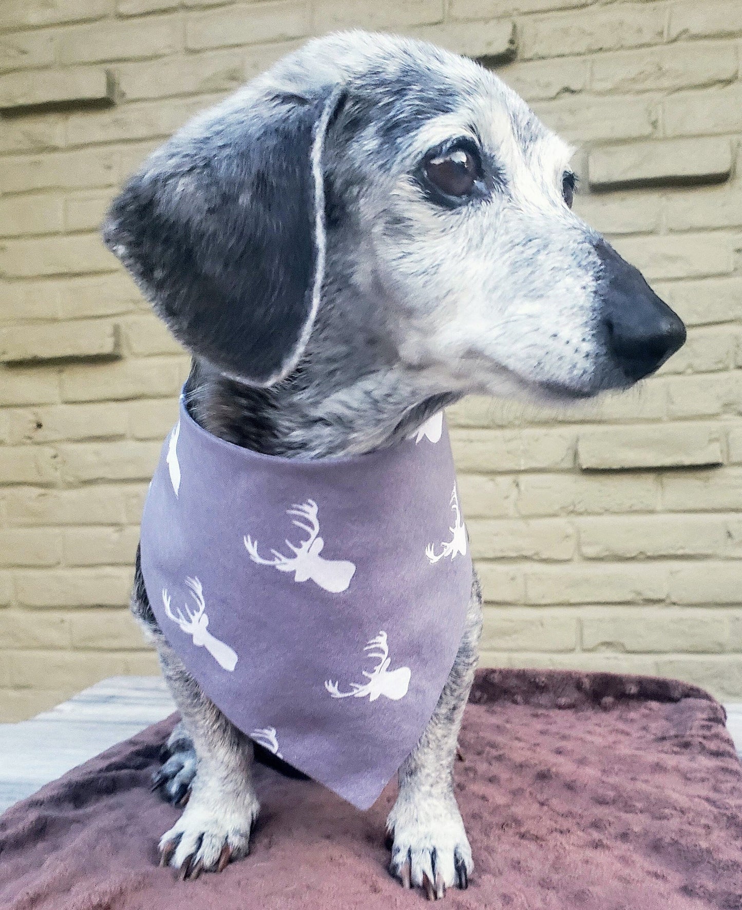 Reindeer Winter Christmas Holiday Clip on Dog Bandana With Buckle Pet Cat Bandanna Handmade to Order