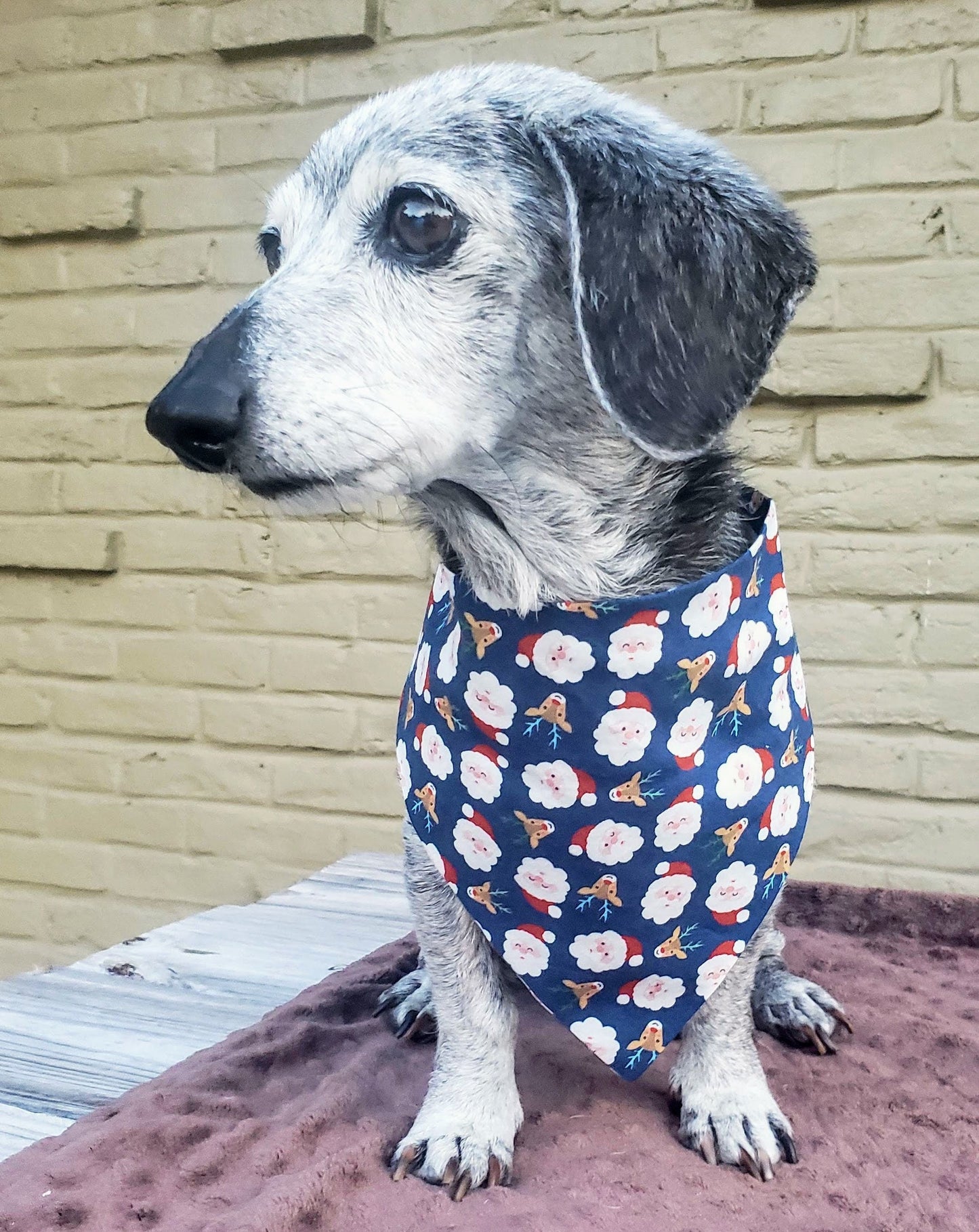Clip on Dog Bandana With Buckle Pet Cat Bandanna Scarf Blue Santa Claus Face Reindeer Christmas Winter Holiday Handmade to Order