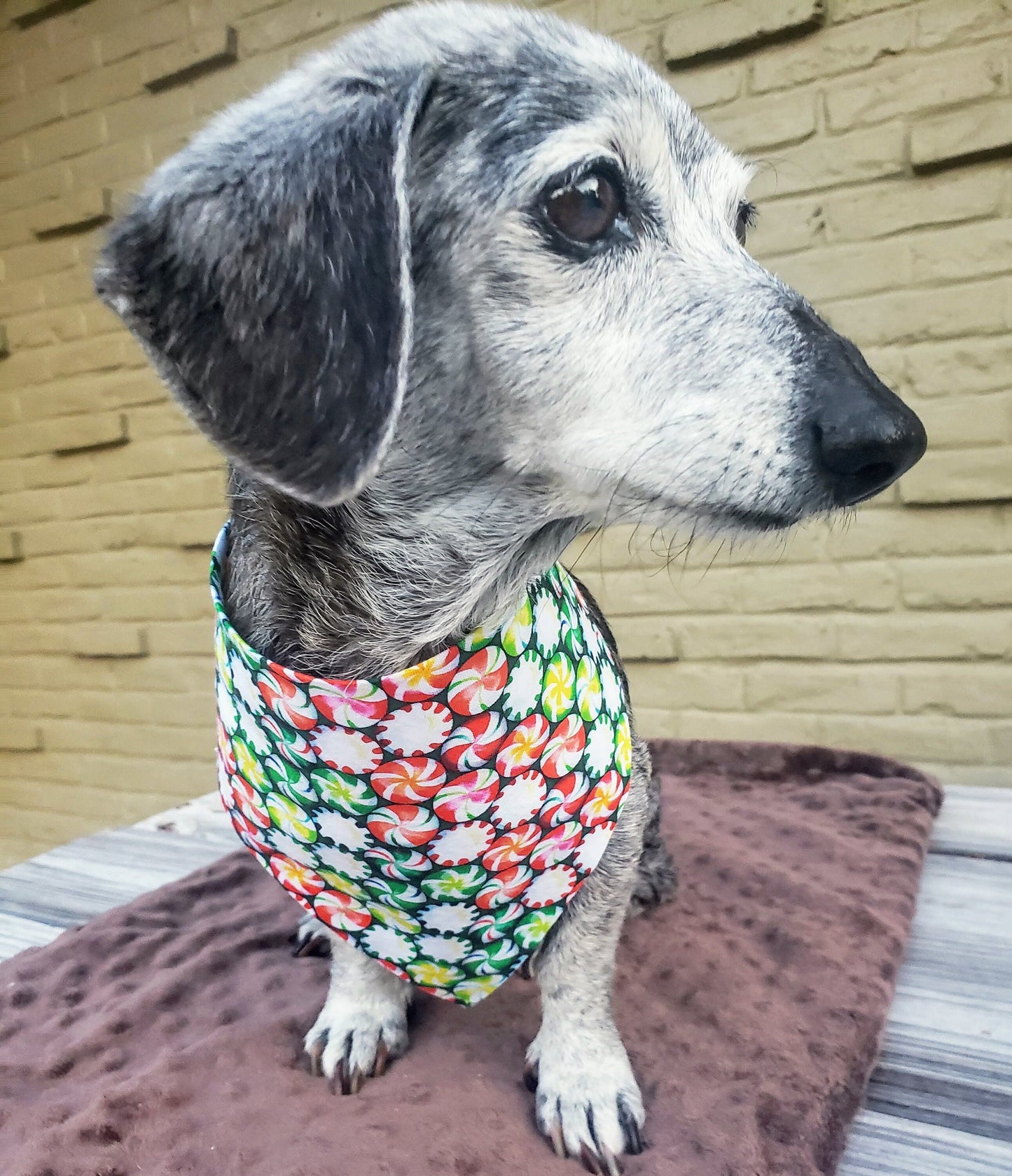 Christmas Peppermints Winter Holiday Clip on Dog Bandana With Buckle Pet Cat Bandanna Handmade to Order