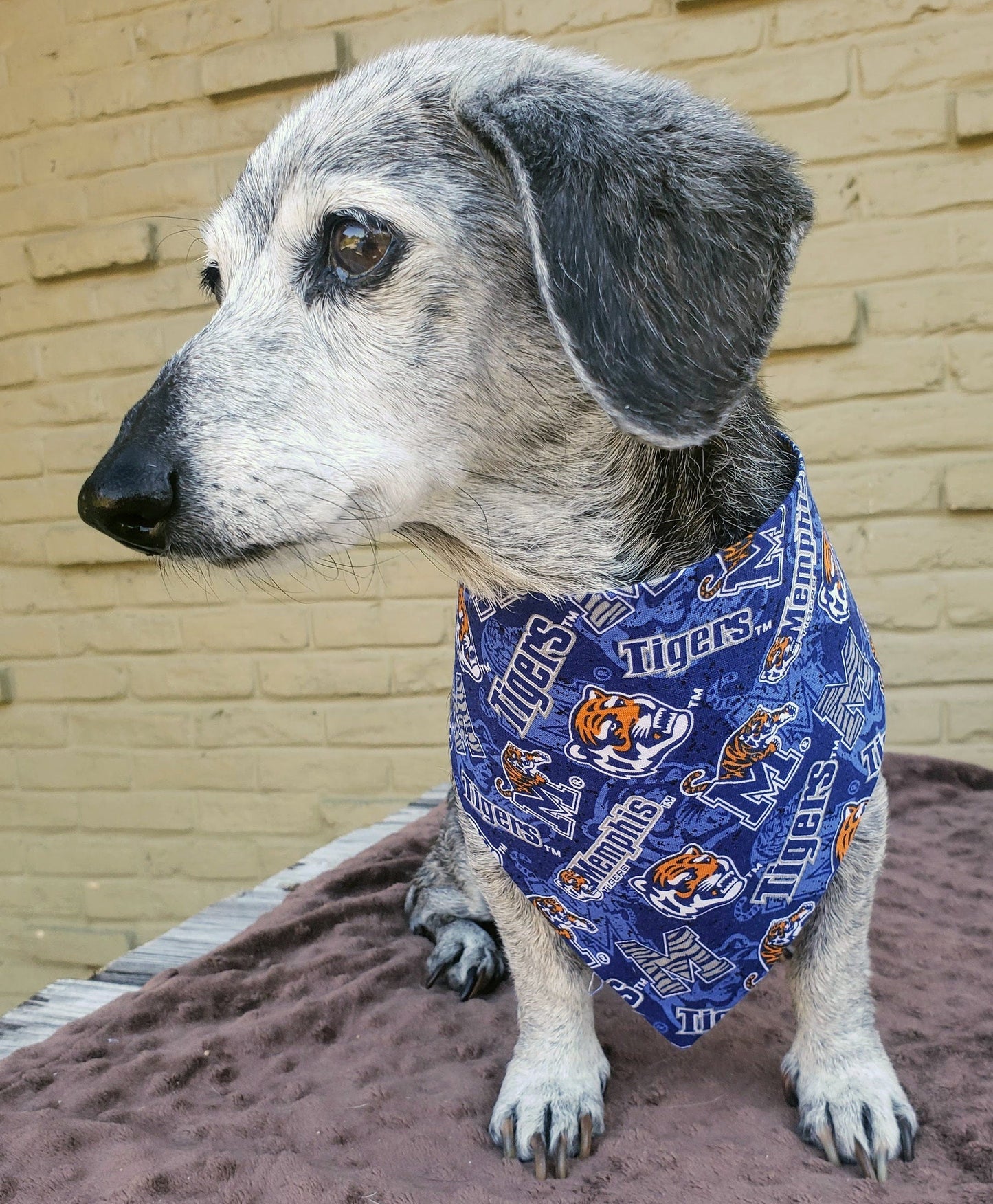 Clip on Dog Bandana With Buckle Pet Cat Bandanna Scarf University of Memphis Tigers ncaa um Handmade to Order