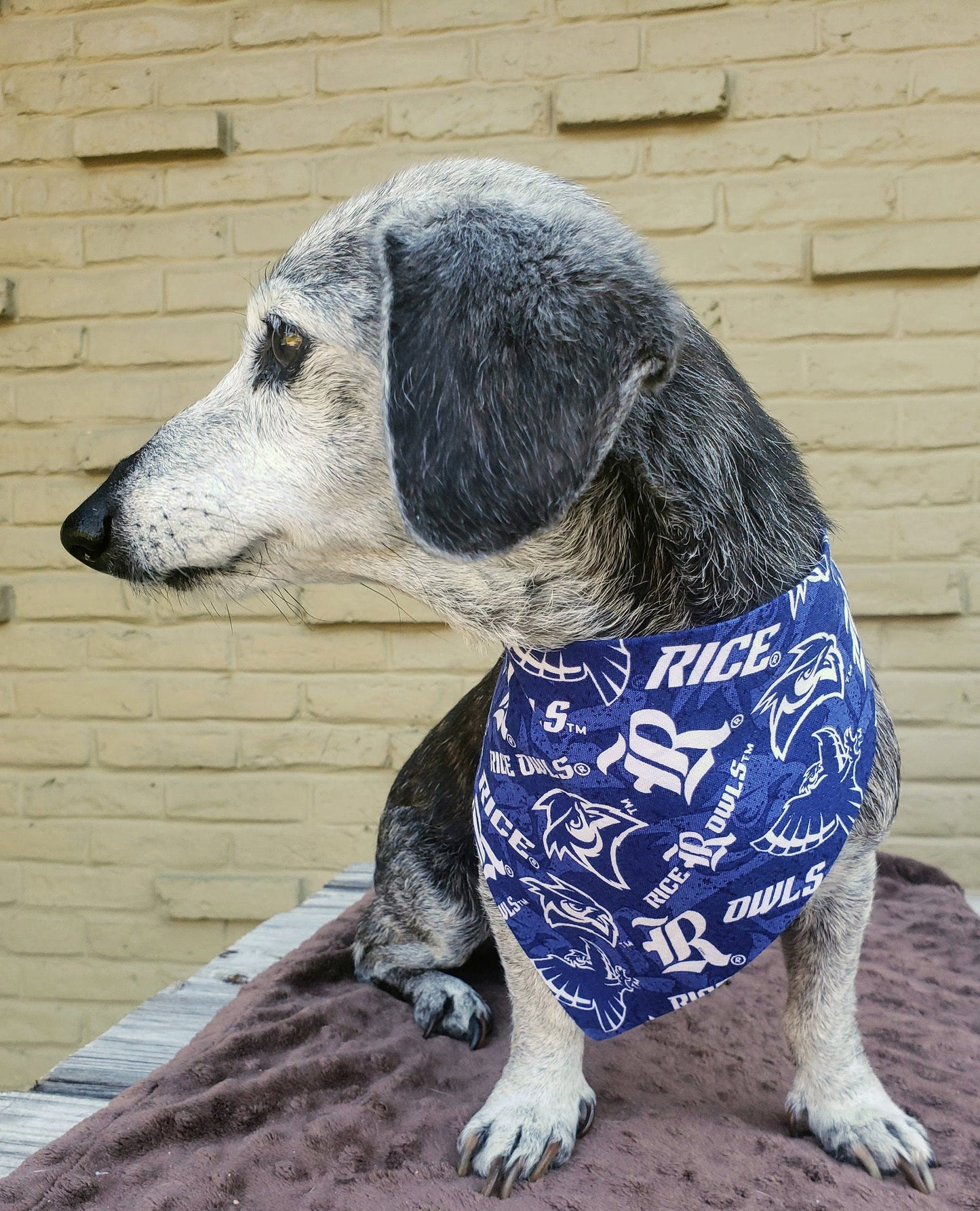 Clip on Dog Bandana With Buckle Pet Cat Bandanna Scarf Rice University Owls ncaa ru Handmade to Order