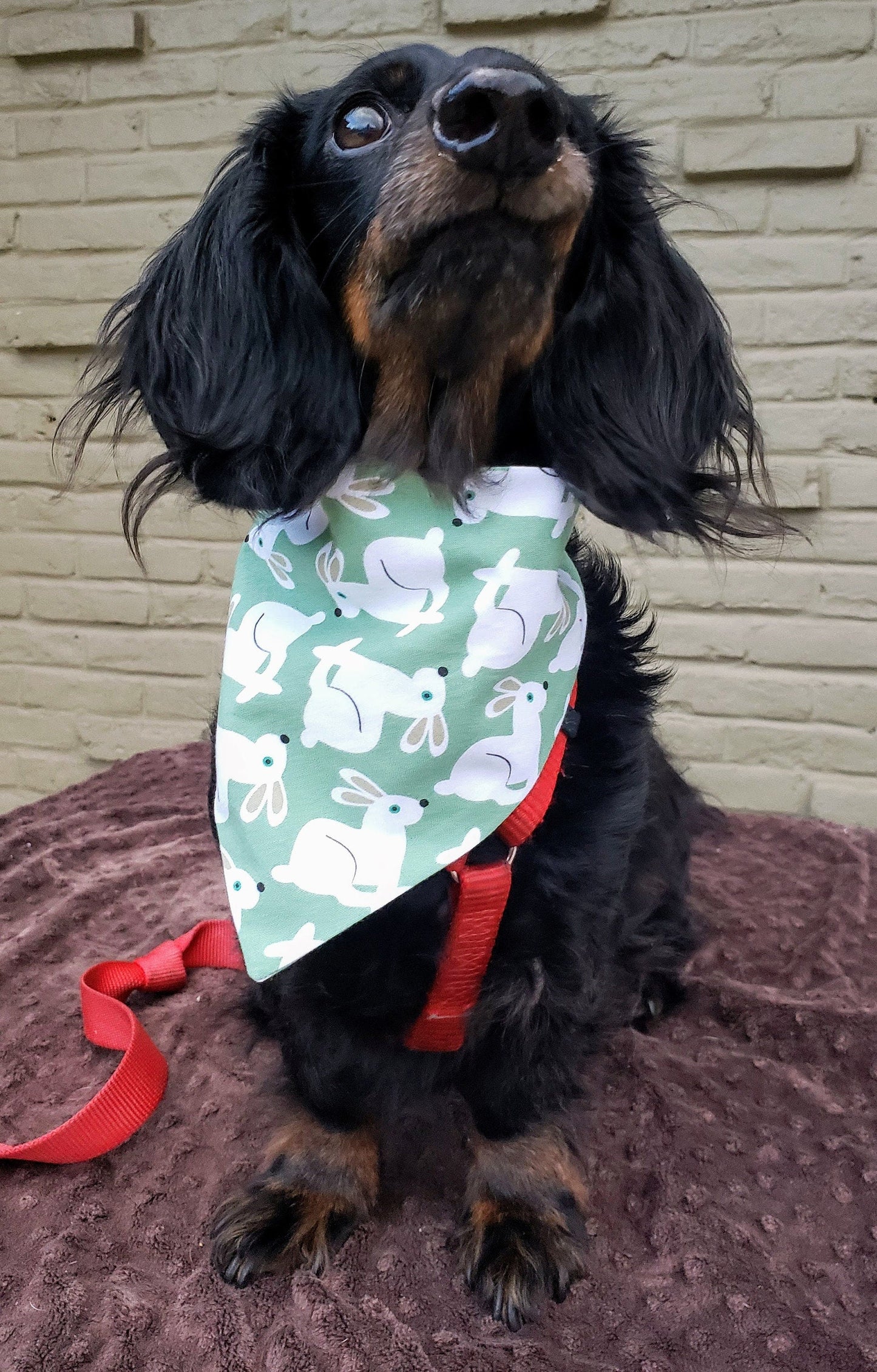 Clip on Dog Bandana With Buckle Pet Cat Bandanna Scarf Easter Bunnies Rabbits Green Mint Print Handmade to Order