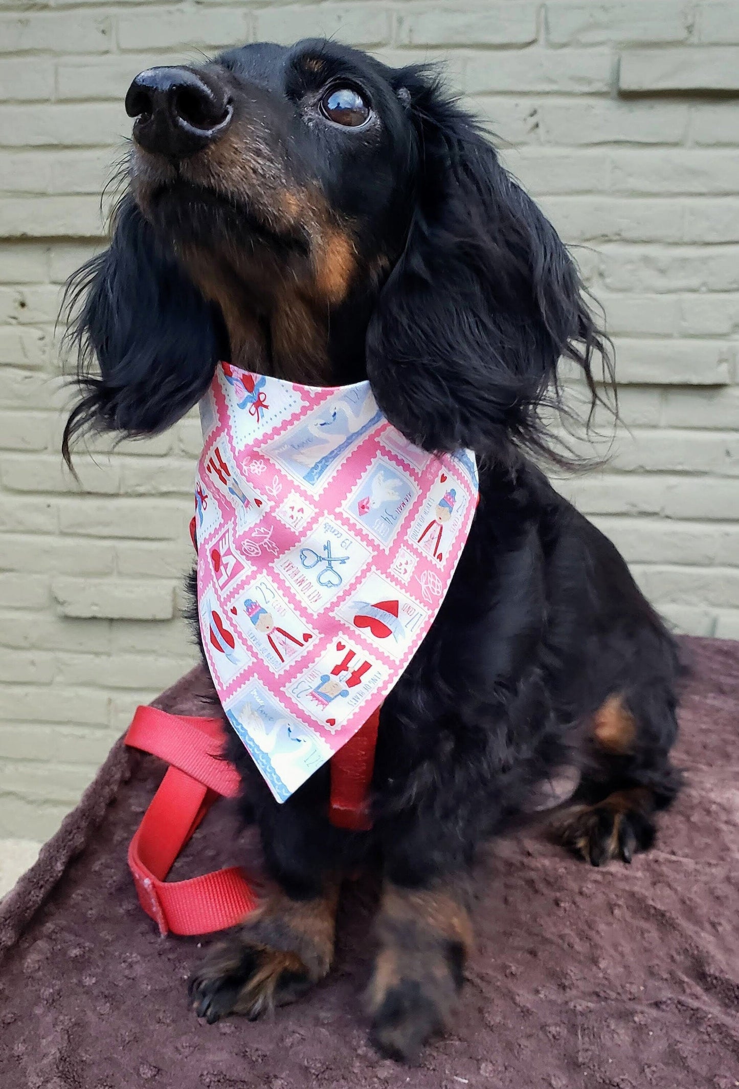 Stamps Key to my Heart Valentine's Day Clip on Dog Bandana With Buckle Pet Cat Bandanna Handmade to Order