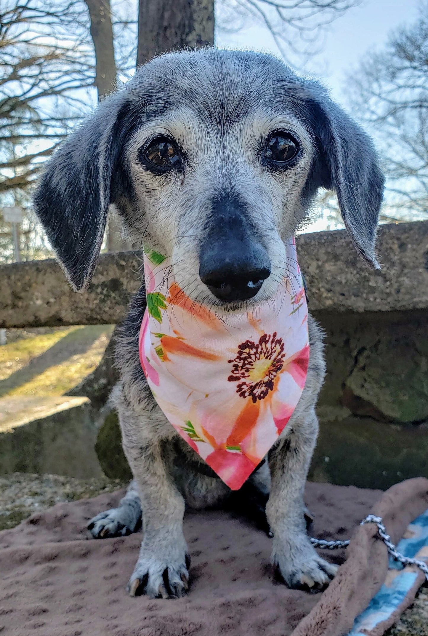 Clip on Dog Bandana With Buckle Pet Cat Bandanna Scarf Pink Floral Large Flower Print Handmade to Order