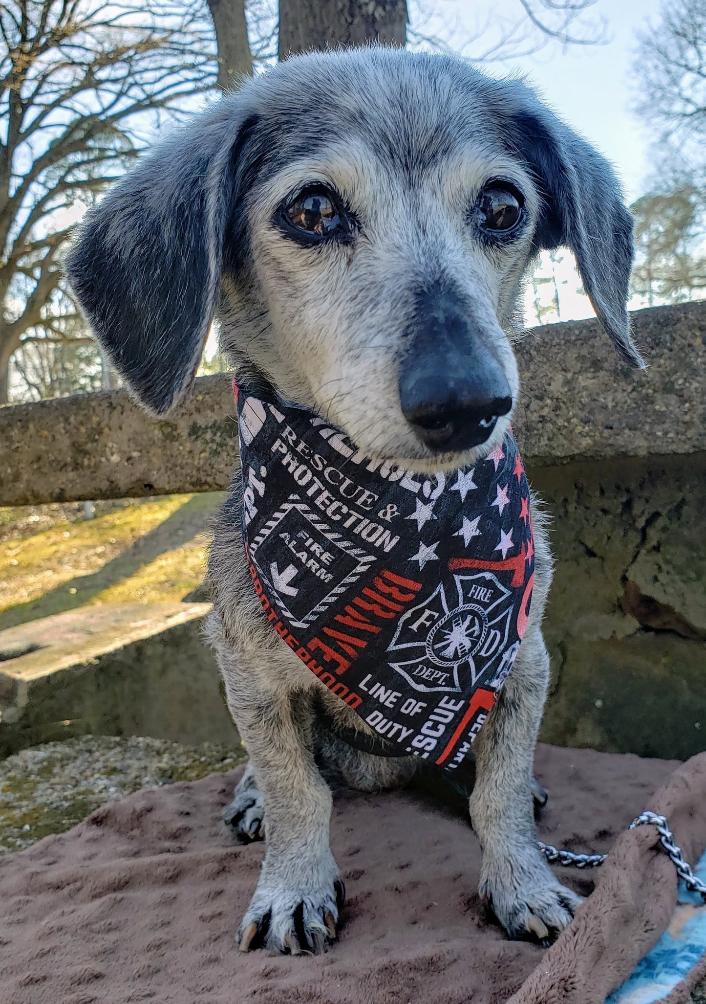 Clip on Dog Bandana With Buckle Pet Cat Bandanna Scarf FIREFIGHTER RESCUE HERO First Responder Print Handmade to Order