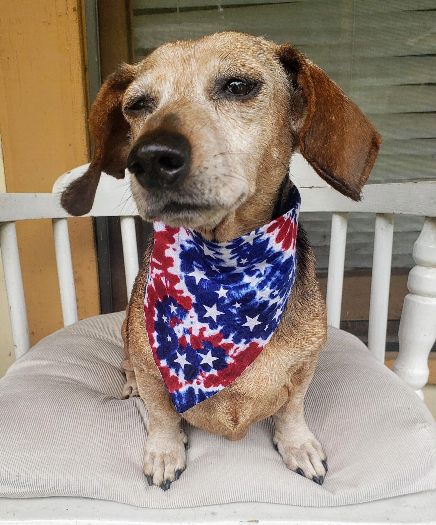 Clip on Dog Bandana With Buckle Pet Cat Bandanna Scarf Red White & Blue Patriotic Tie Dye Stars Americana Handmade to Order