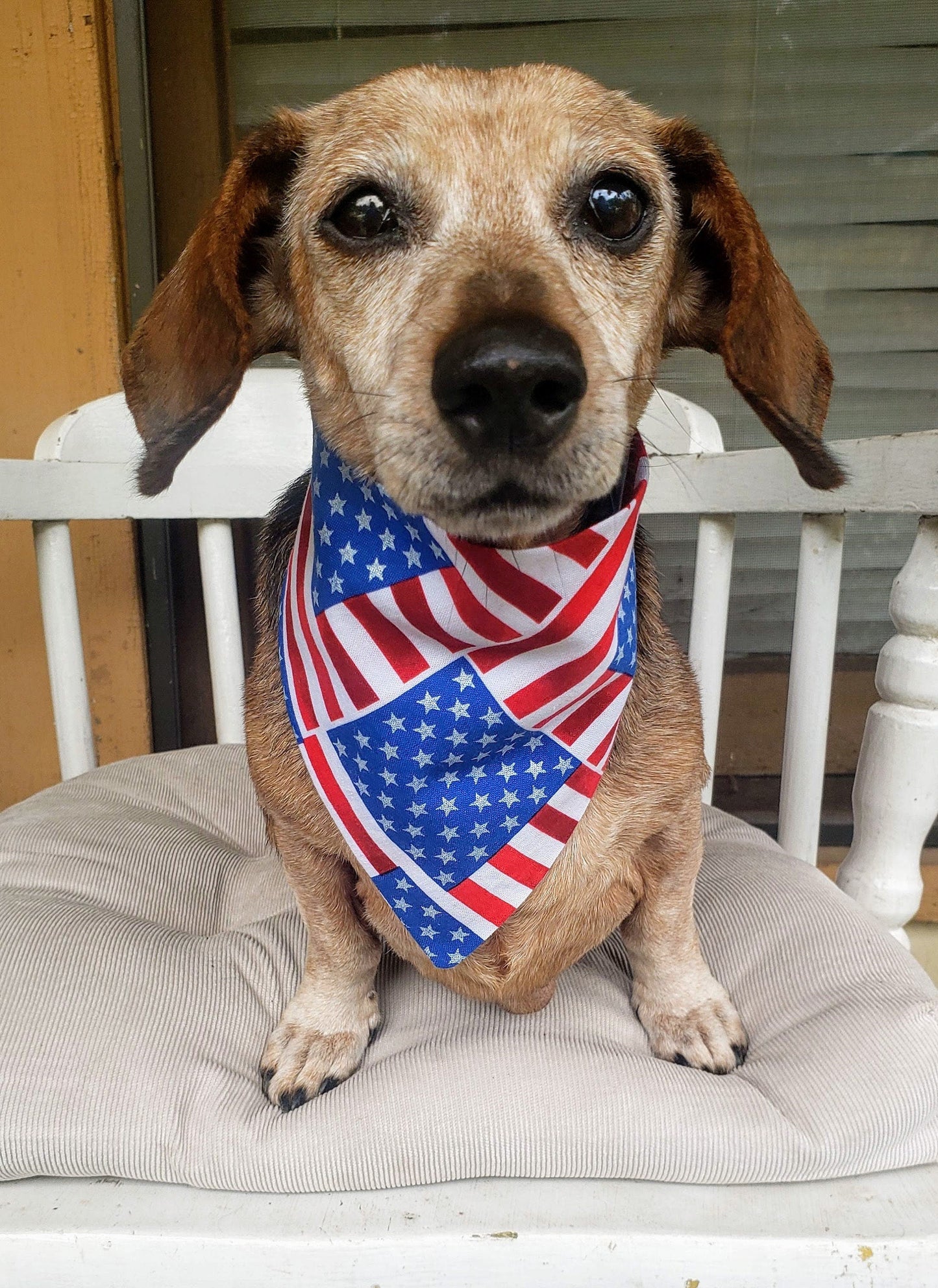 Clip on Dog Bandana With Buckle Pet Cat Bandanna Scarf Red White & Blue Patriotic USA Flags Americana Handmade to Order