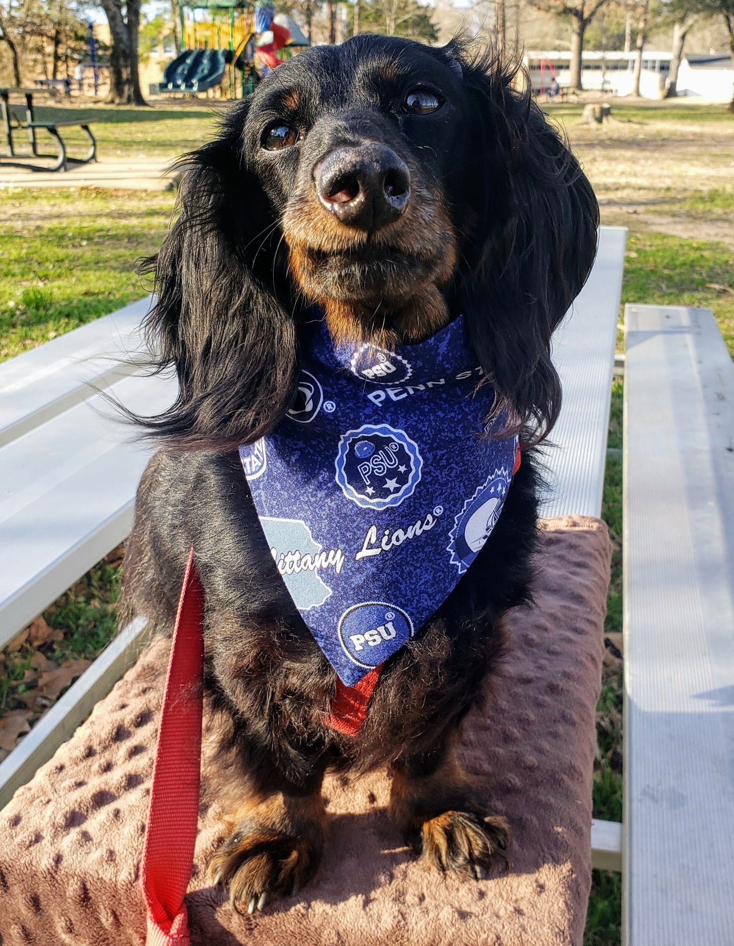 Clip on Dog Bandana With Buckle Pet Cat Bandanna Scarf PENN STATE University Nittany LIONS ncaa psu Handmade to Order
