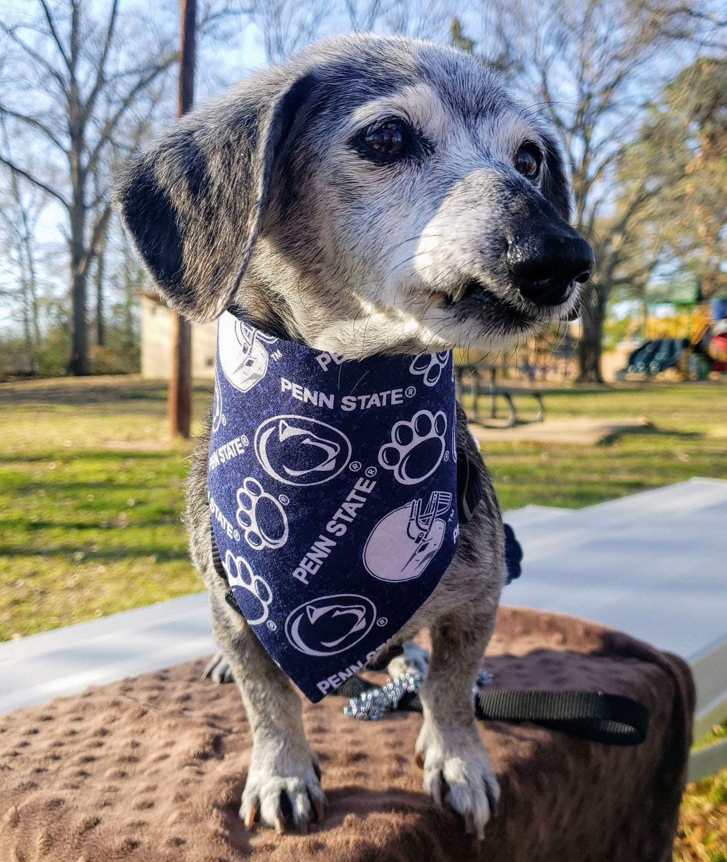 Clip on Dog Bandana With Buckle Pet Cat Bandanna Scarf University of PENN STATE Nittany LIONS ncaa psu Handmade to Order