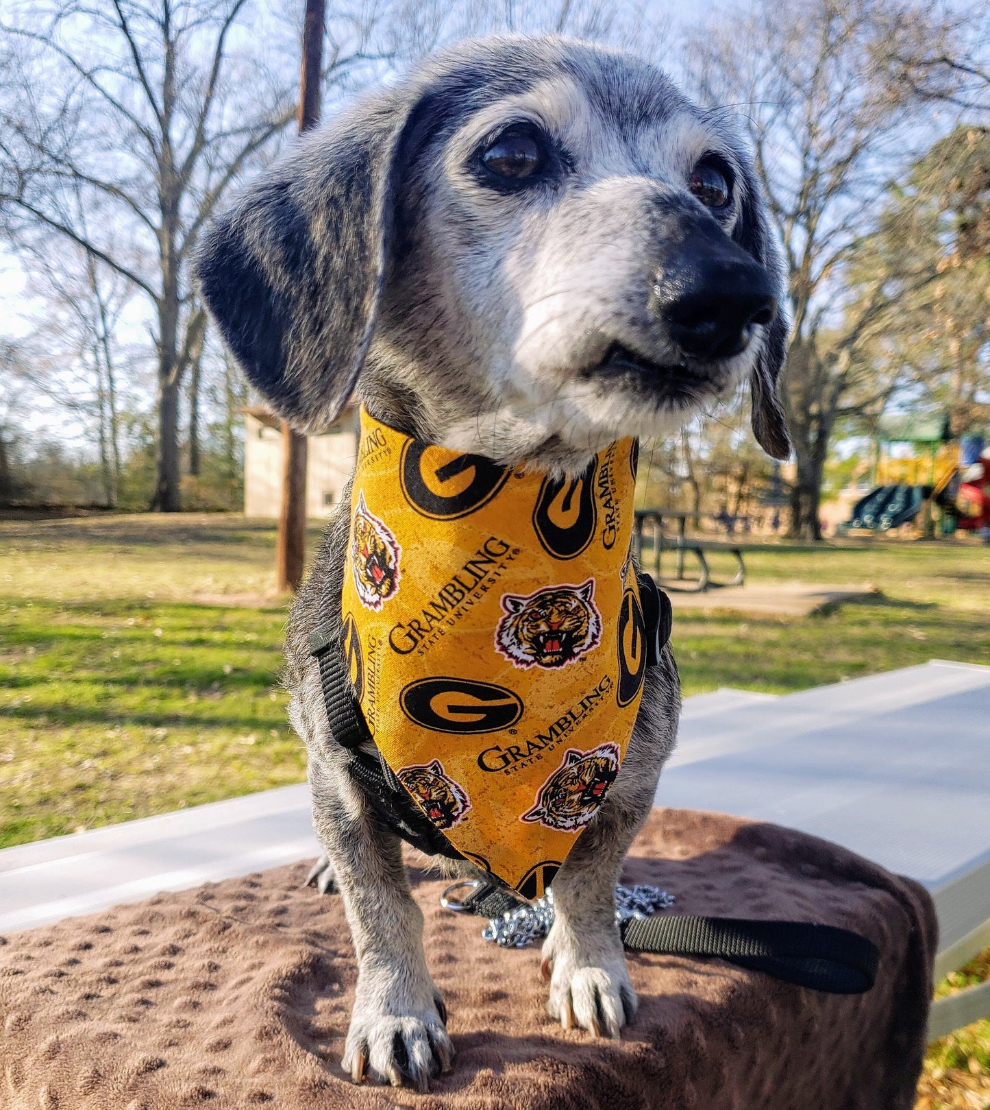 GRAMBLING STATE University GSU TIGERS Clip on Dog Bandana With Buckle Pet Cat Bandanna Scarf ncaa Handmade to Order