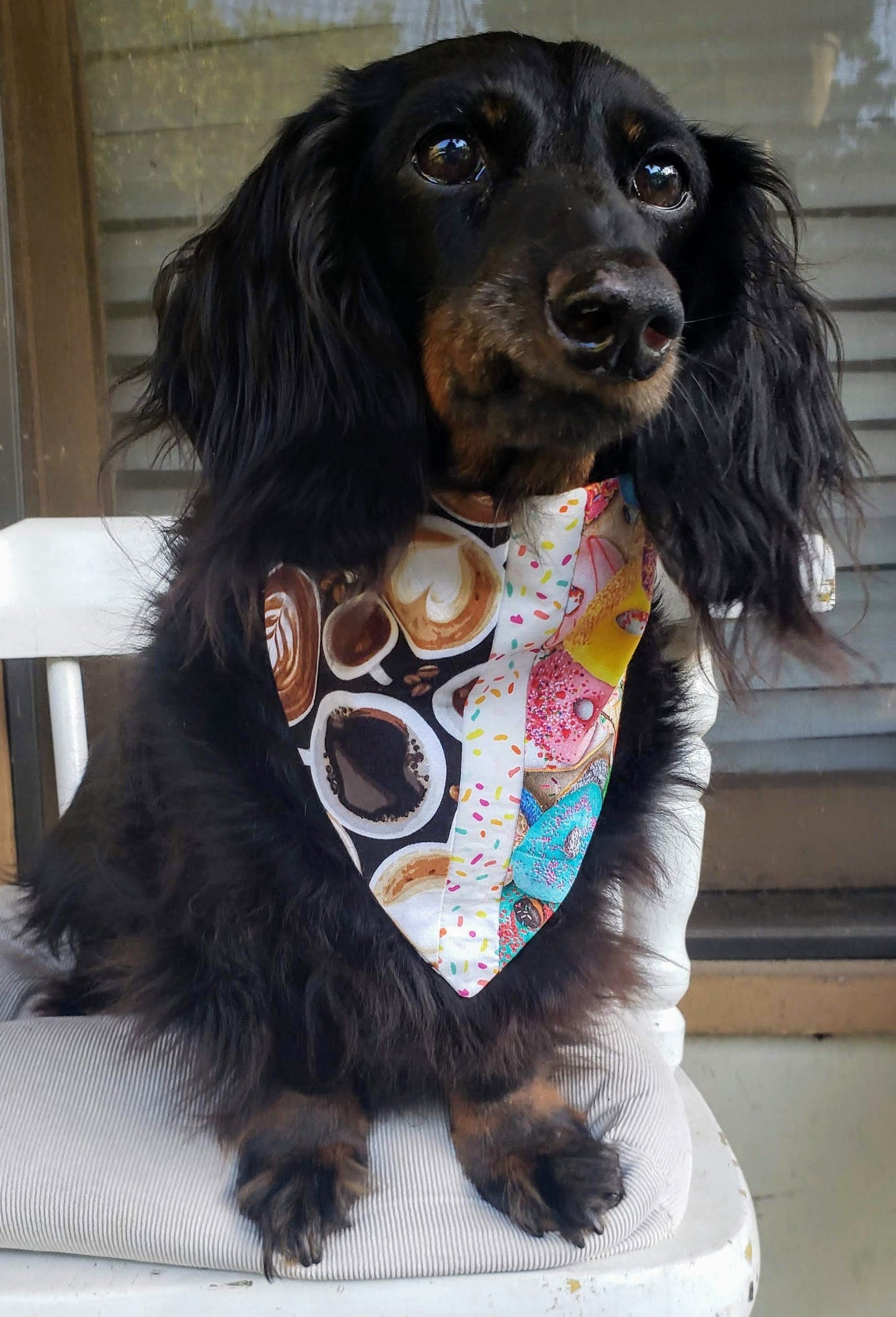 Clip on Dog Bandana With Buckle Pet Cat Bandanna Scarf COFFEE and DONUTS TFF Specialty Exclusive Design Handmade to Order
