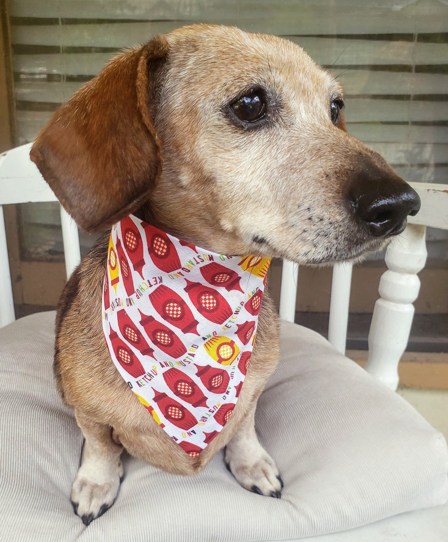 Clip on Dog Bandana With Buckle Pet Cat Bandanna Scarf Mustard Ketchup Hotdogs Hamburgers Grilling BBQ Picnic Handmade to Order