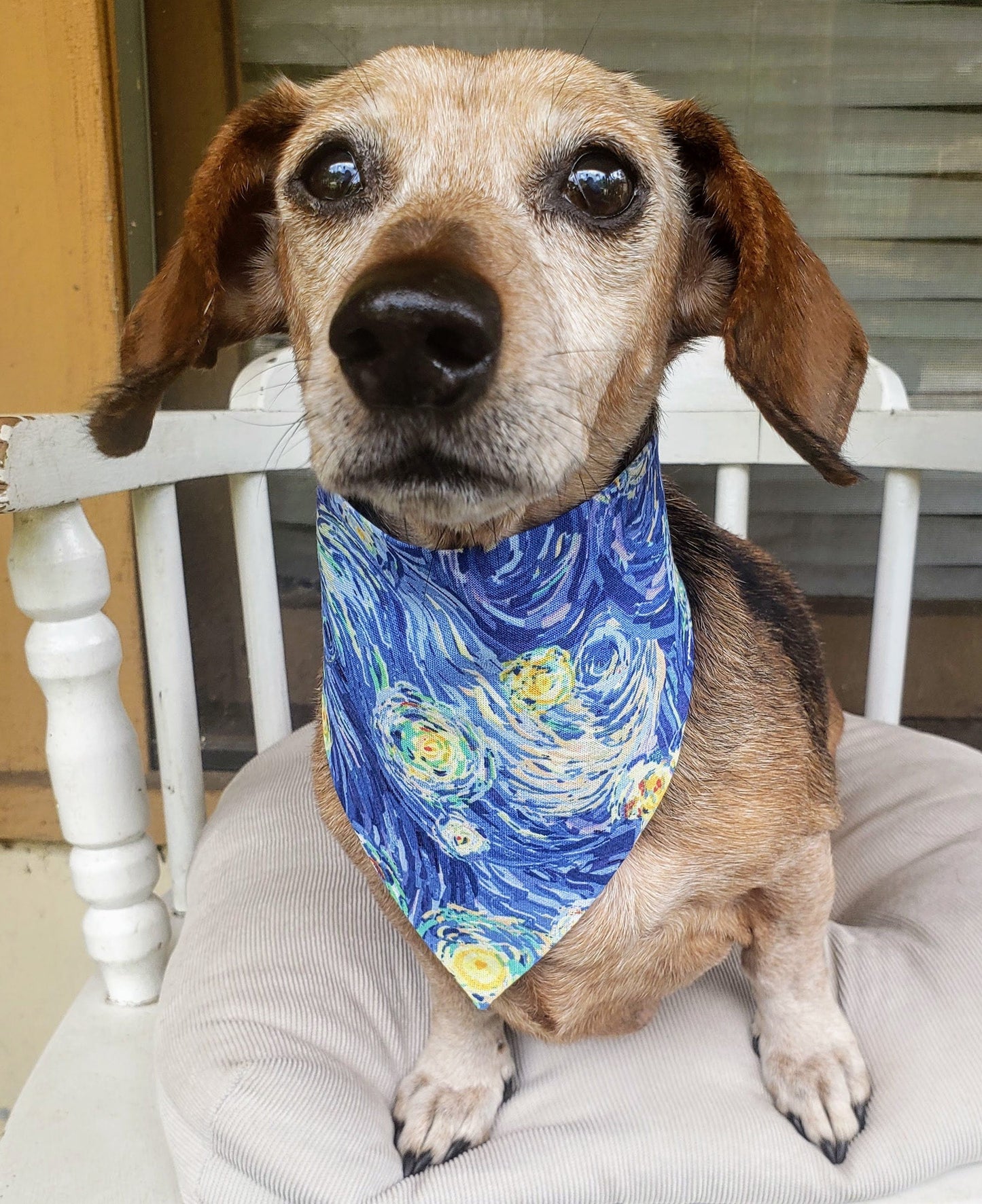 Clip on Dog Bandana With Buckle Pet Cat Bandanna Scarf Celestial Stars Starry Night Van Gogh Inspired Handmade to Order