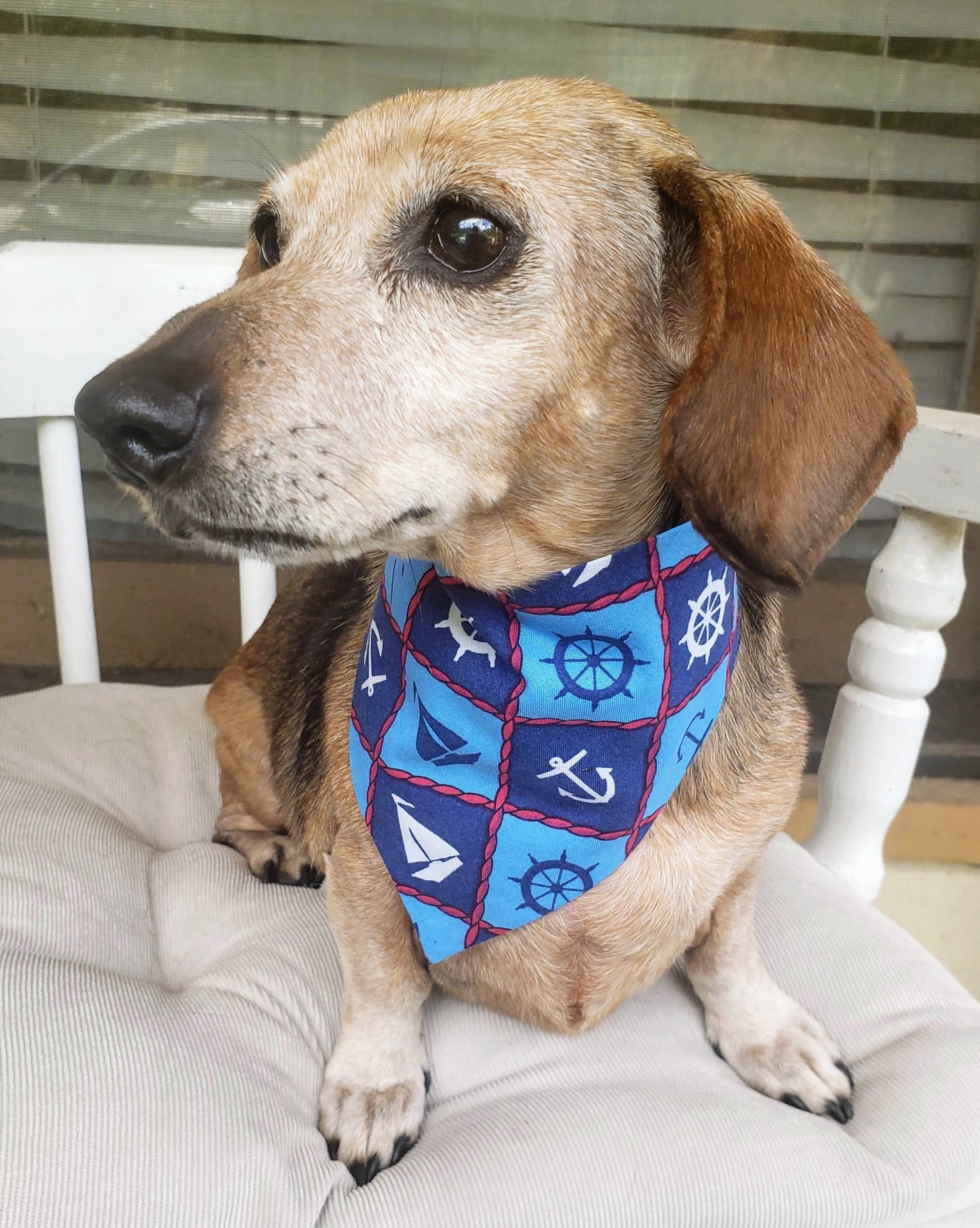 Clip on Dog Bandana With Buckle Pet Cat Bandanna Scarf Sea Sailing Sailboat Ocean Anchors Beach Handmade to Order