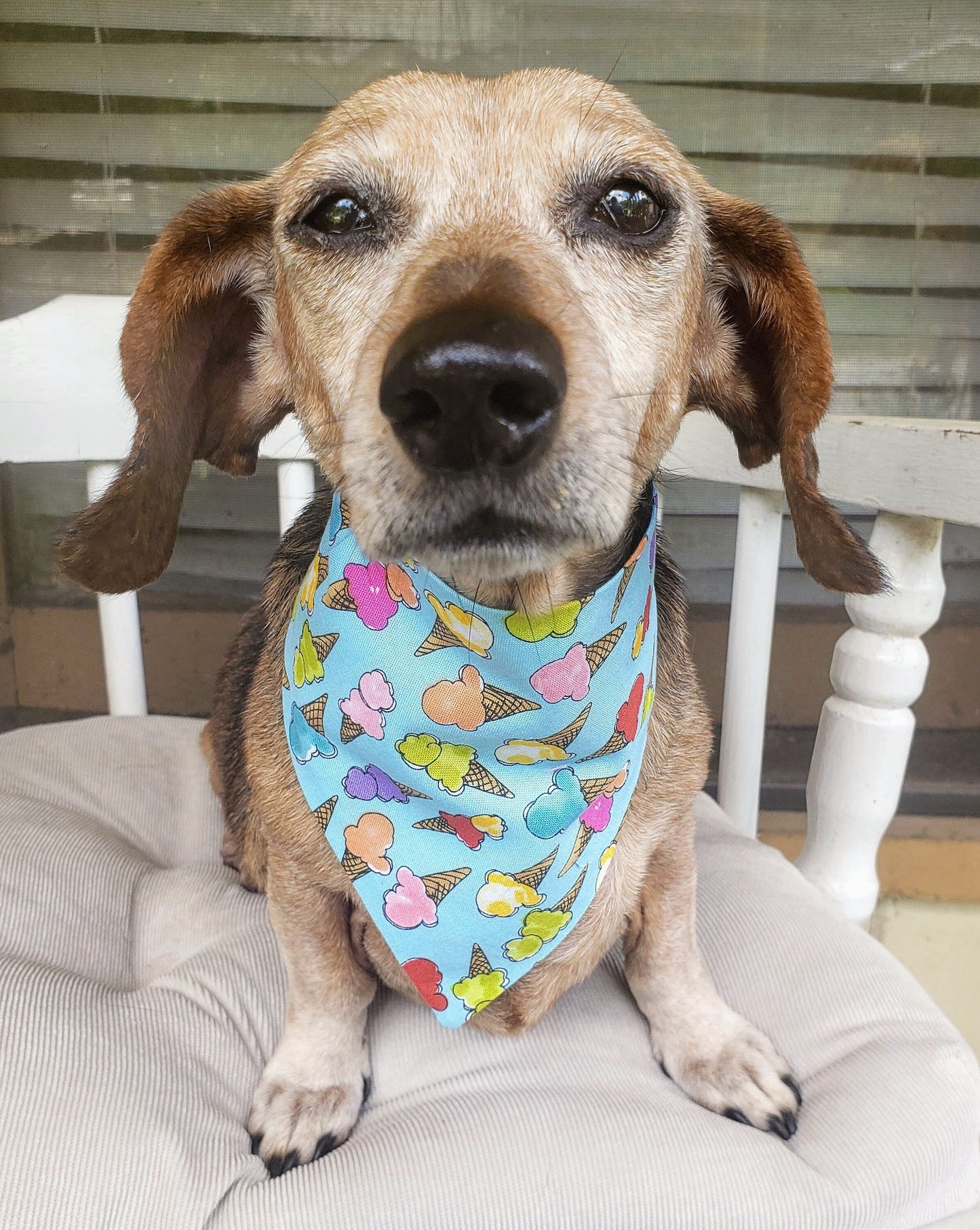 Clip on Dog Bandana With Buckle Pet Cat Bandanna Scarf Ice Cream Cones Summer Frozen Treat Bandana Handmade to Order