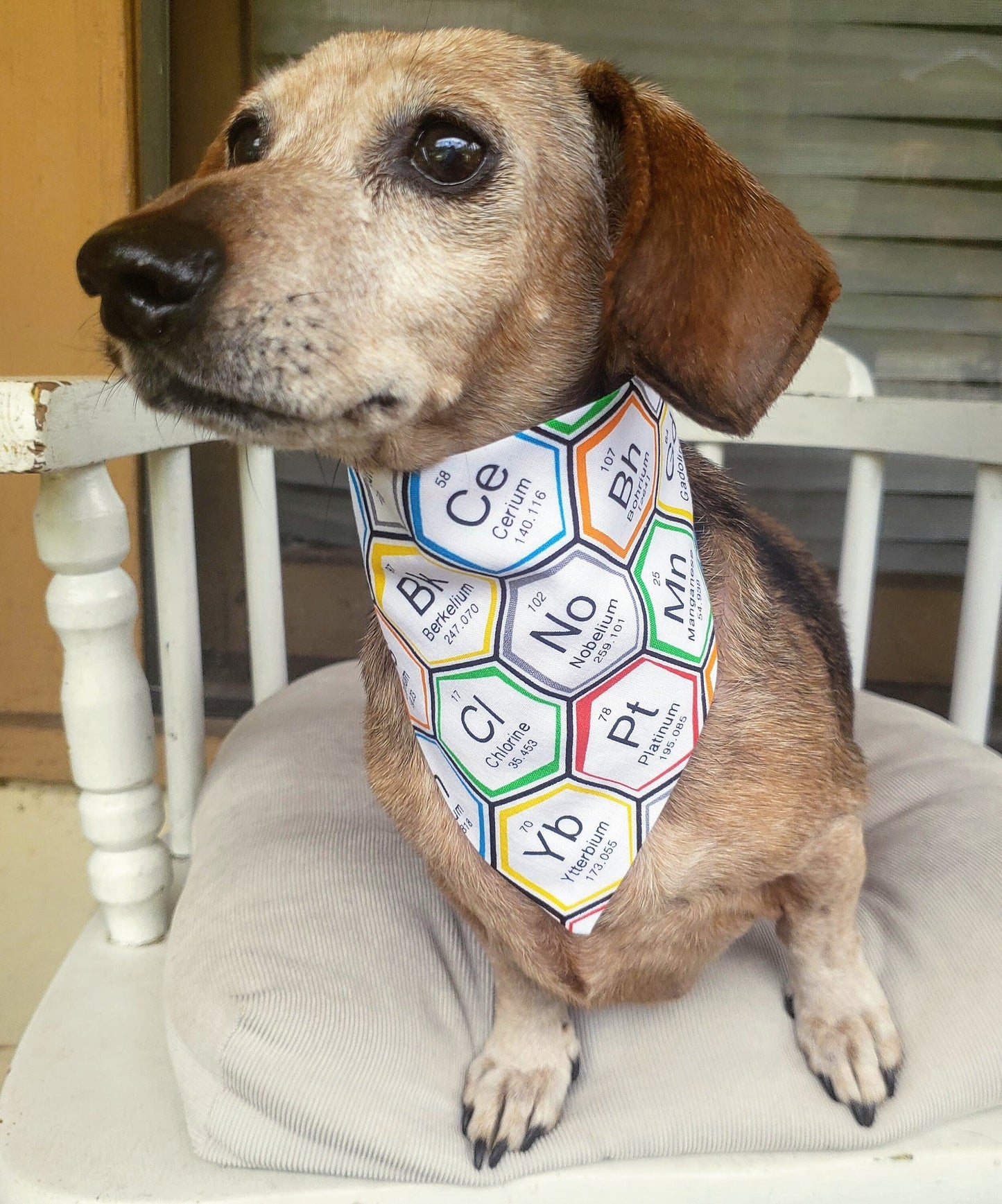 Clip on Dog Bandana With Buckle Pet Cat Bandanna Scarf Periodic Table of Elements STEM Hexagon Nerd Science Bandana Handmade to Order