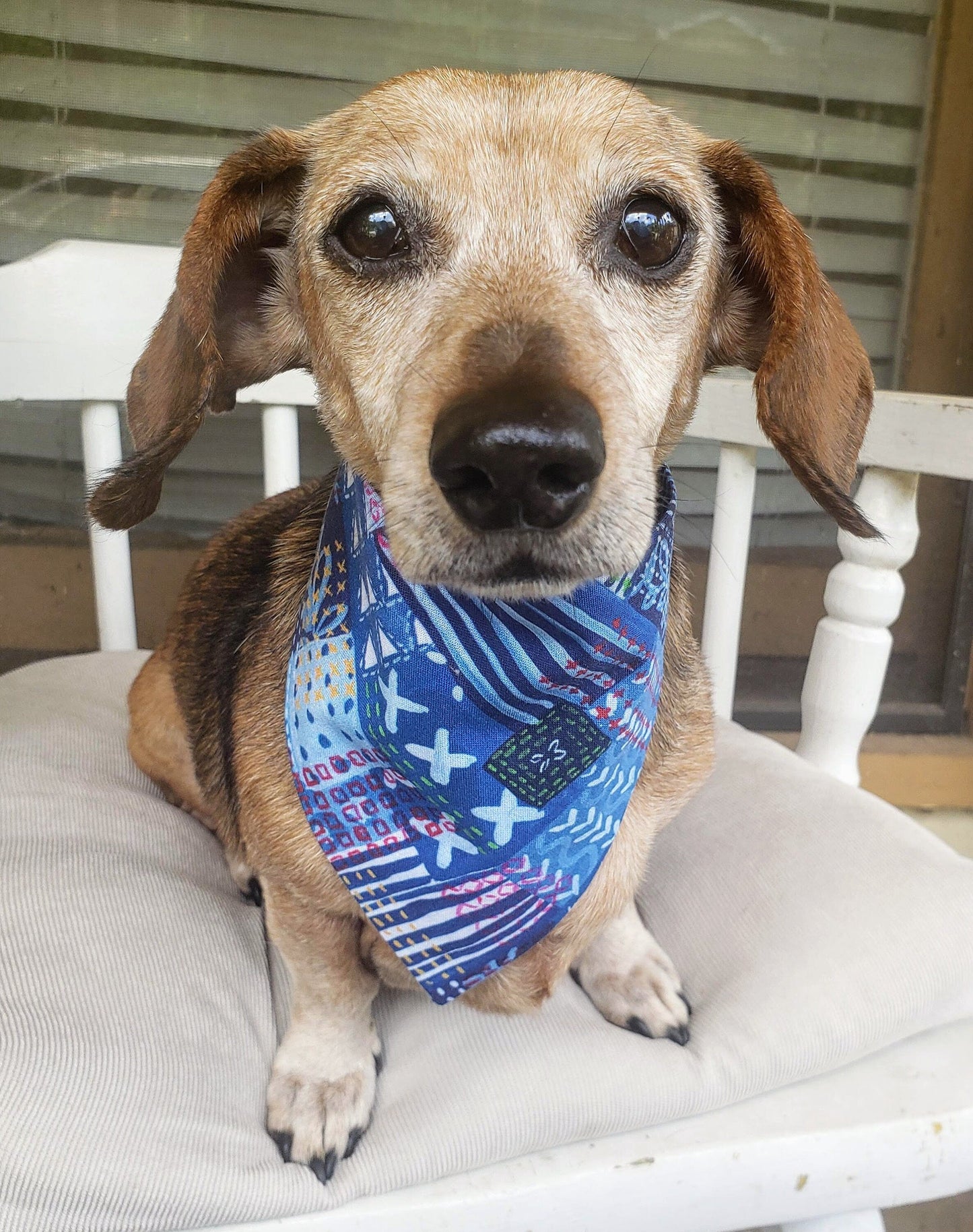 Clip on Dog Bandana With Buckle Pet Cat Bandanna Scarf Purple Blue Patchwork Crazy Fun Summer Doodles Bandana Handmade to Order