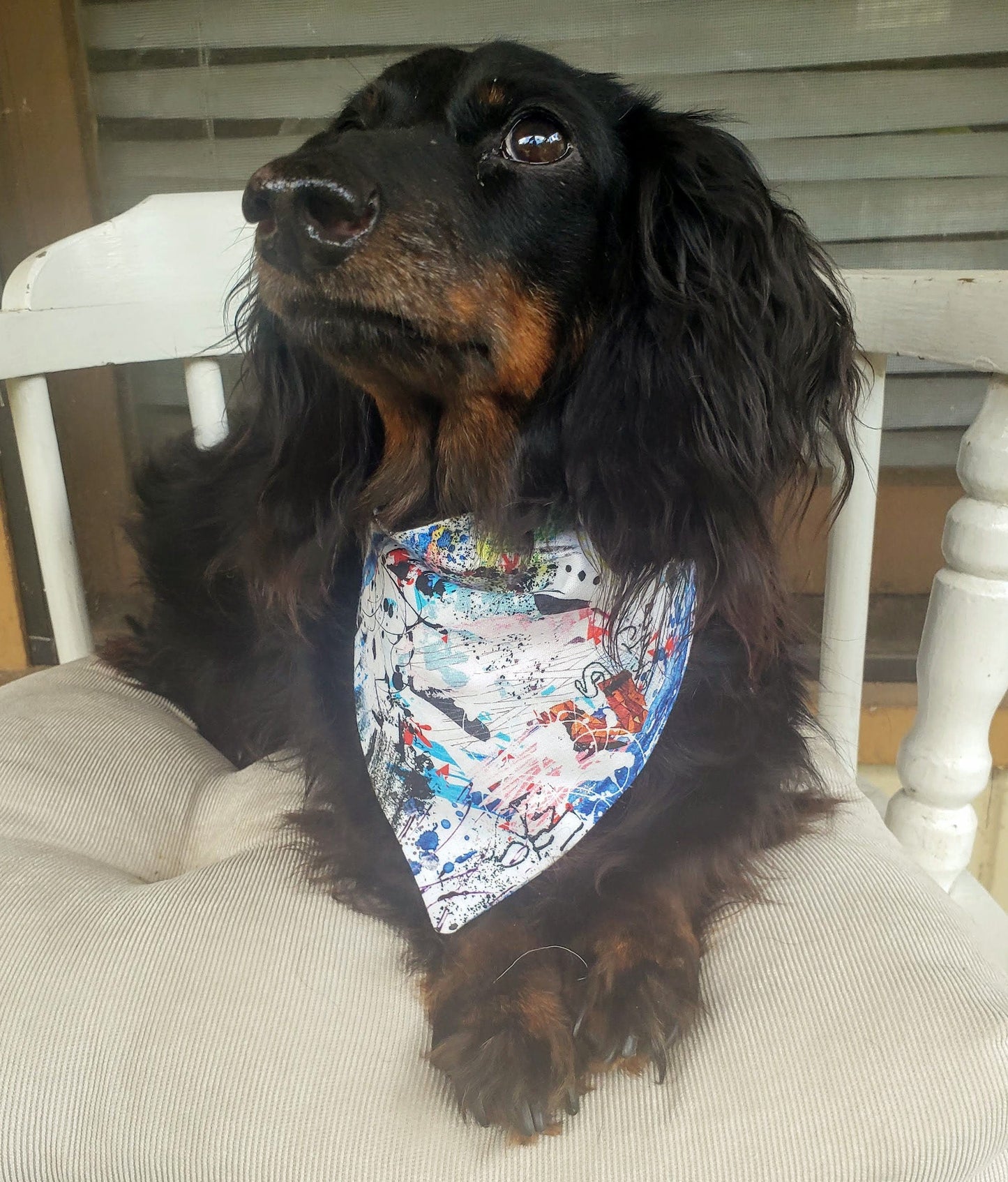 Clip on Dog Bandana With Buckle Pet Cat Bandanna Scarf Graffiti Paint Splatters Artistic Abstract Art Funky Handmade to Order