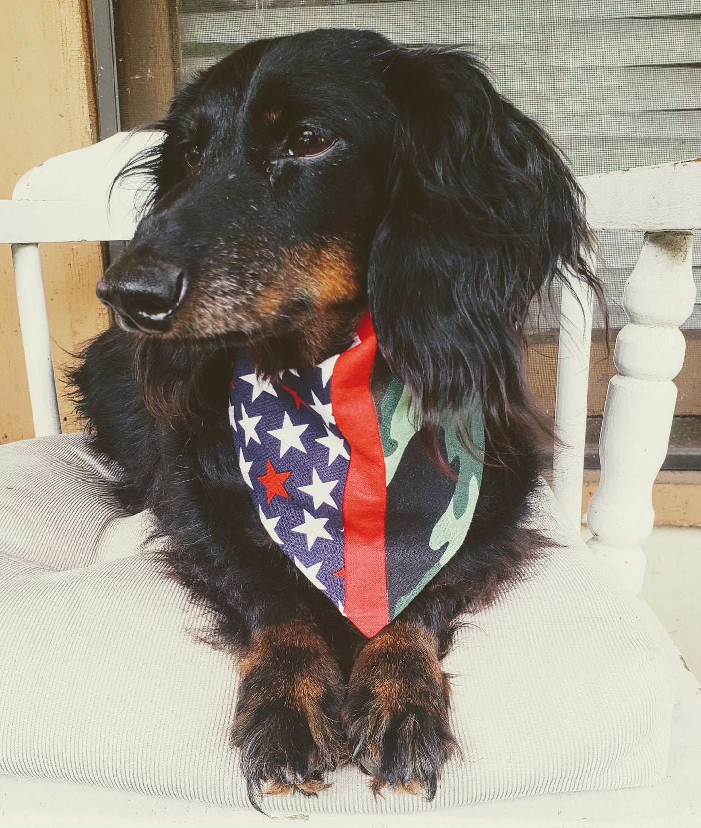 Clip on Dog Bandana With Buckle Pet Cat Bandanna Scarf HERO COLORS Patriotic & Camo Specialty Exclusive Design Handmade to Order