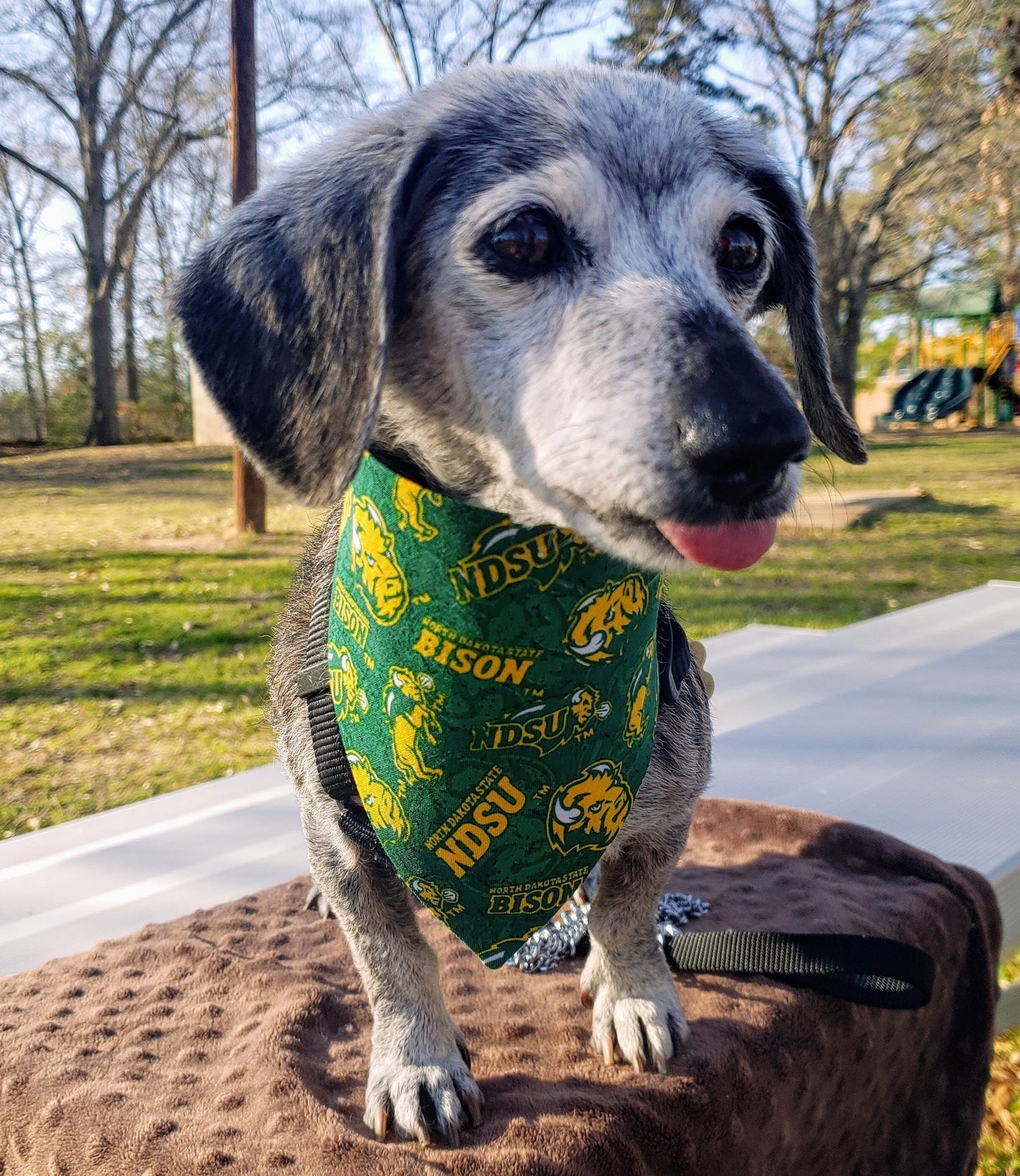North Dakota STATE University NDSU BISON Clip on Dog Bandana With Buckle Pet Cat Bandanna Scarf ncaa Handmade to Order