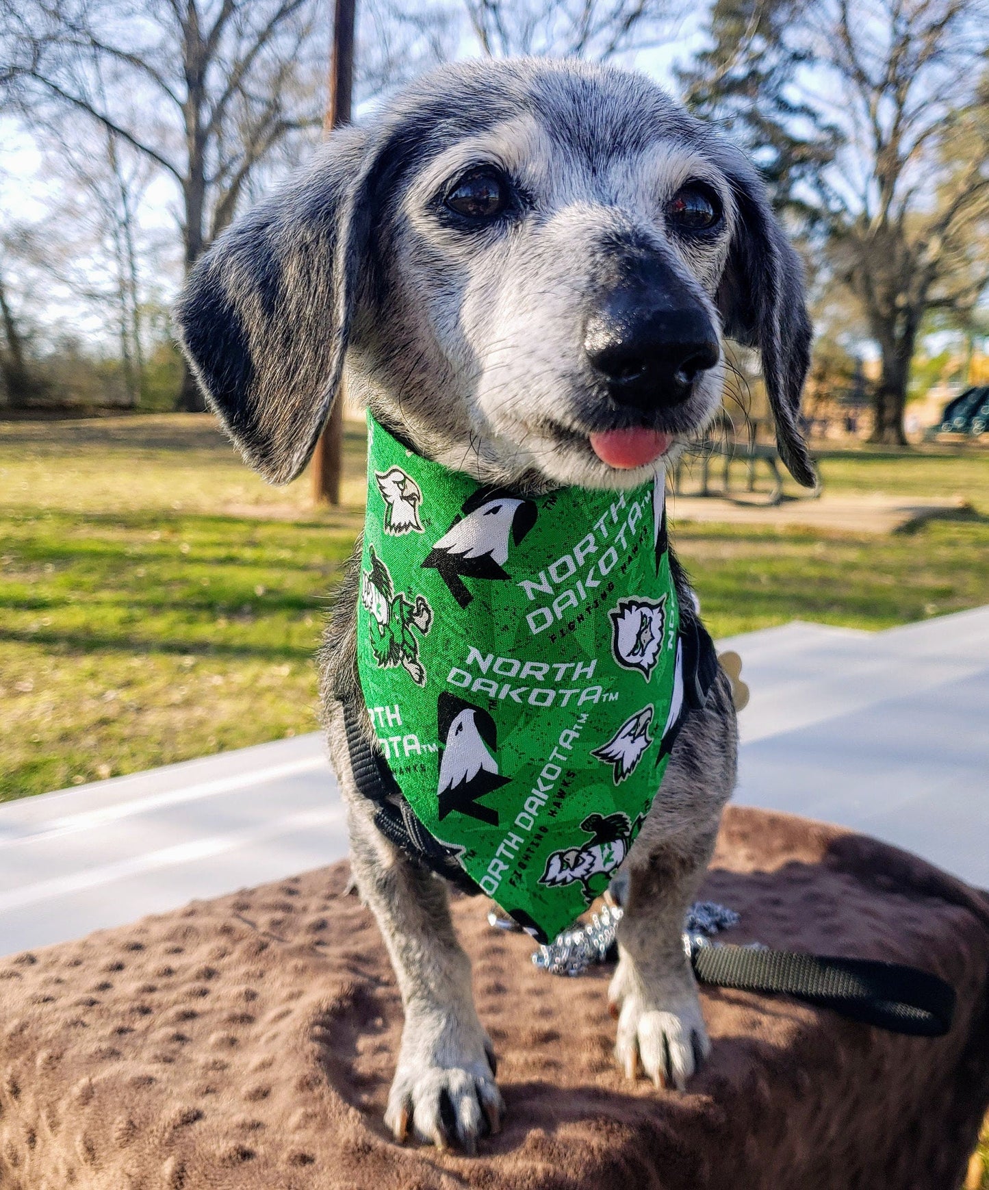 Clip on Dog Bandana With Buckle Pet Cat Bandanna Scarf University of North Dakota FIGHTING HAWKS und Handmade to Order