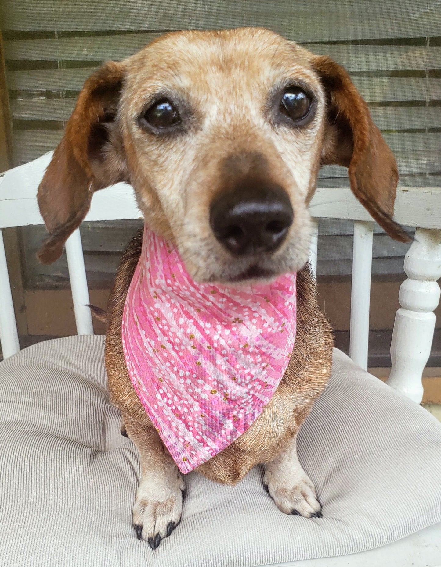 Clip on Dog Bandana With Buckle Pet Cat Bandanna Scarf Pink Shimmer Bling Girly Bandana Handmade to Order