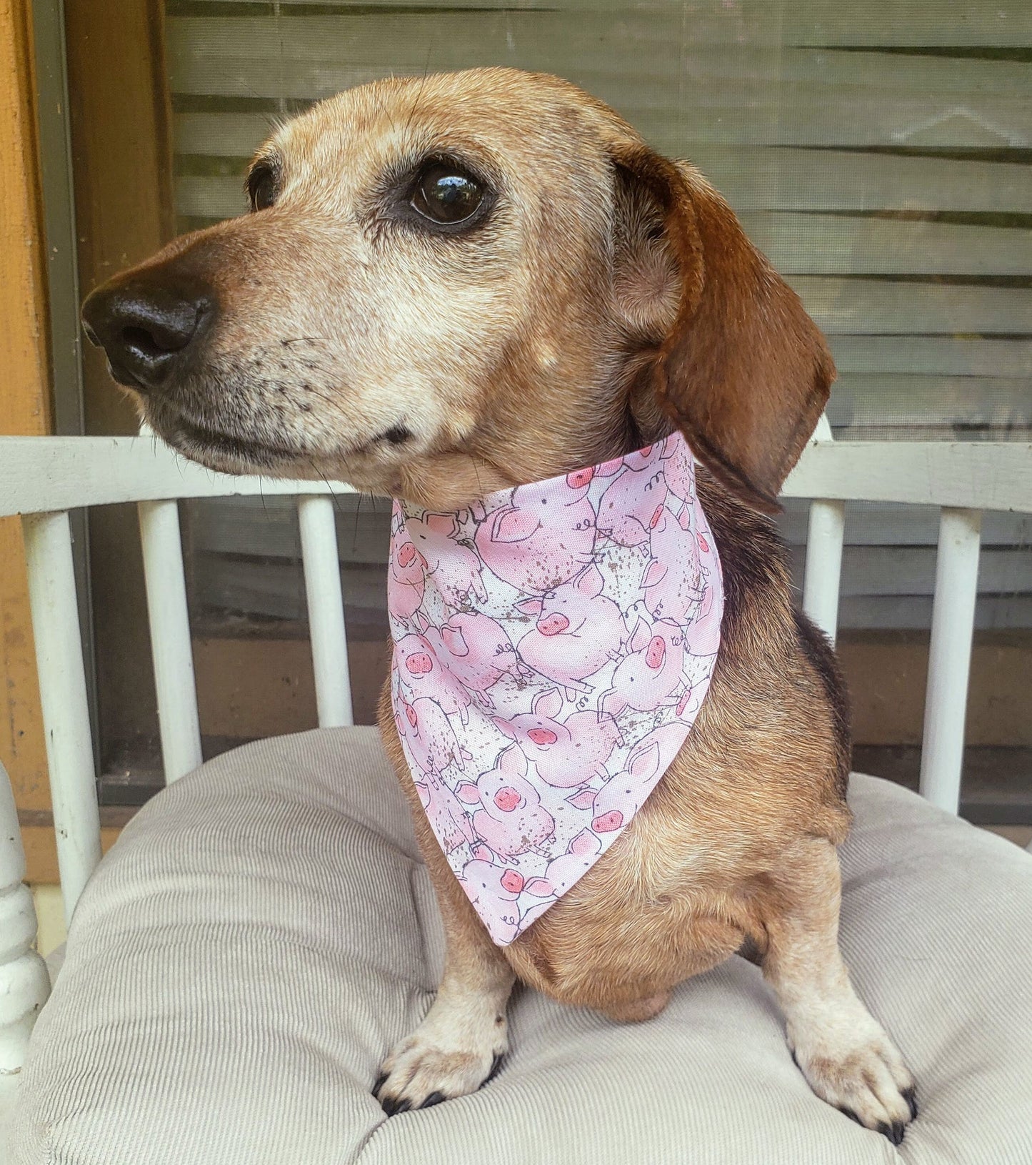 Clip on Dog Bandana With Buckle Pet Cat Bandanna Scarf Pink Pigs Piggies Farm Bandana Handmade to Order