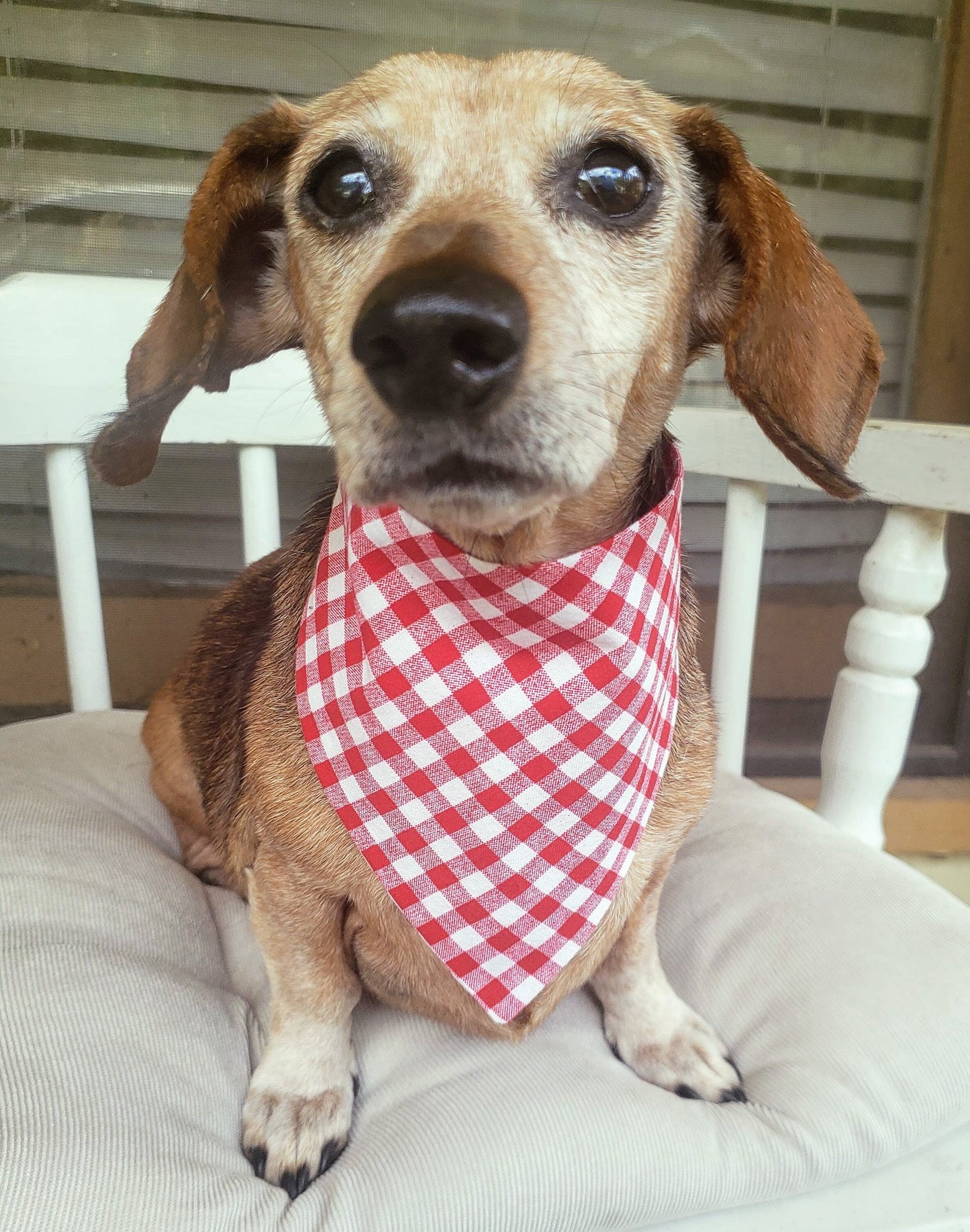 Clip on Dog Bandana With Buckle Pet Cat Bandanna Scarf Red Gingham Plaid Check BBQ Picnic Tablecloth Napkin Summer Handmade to Order