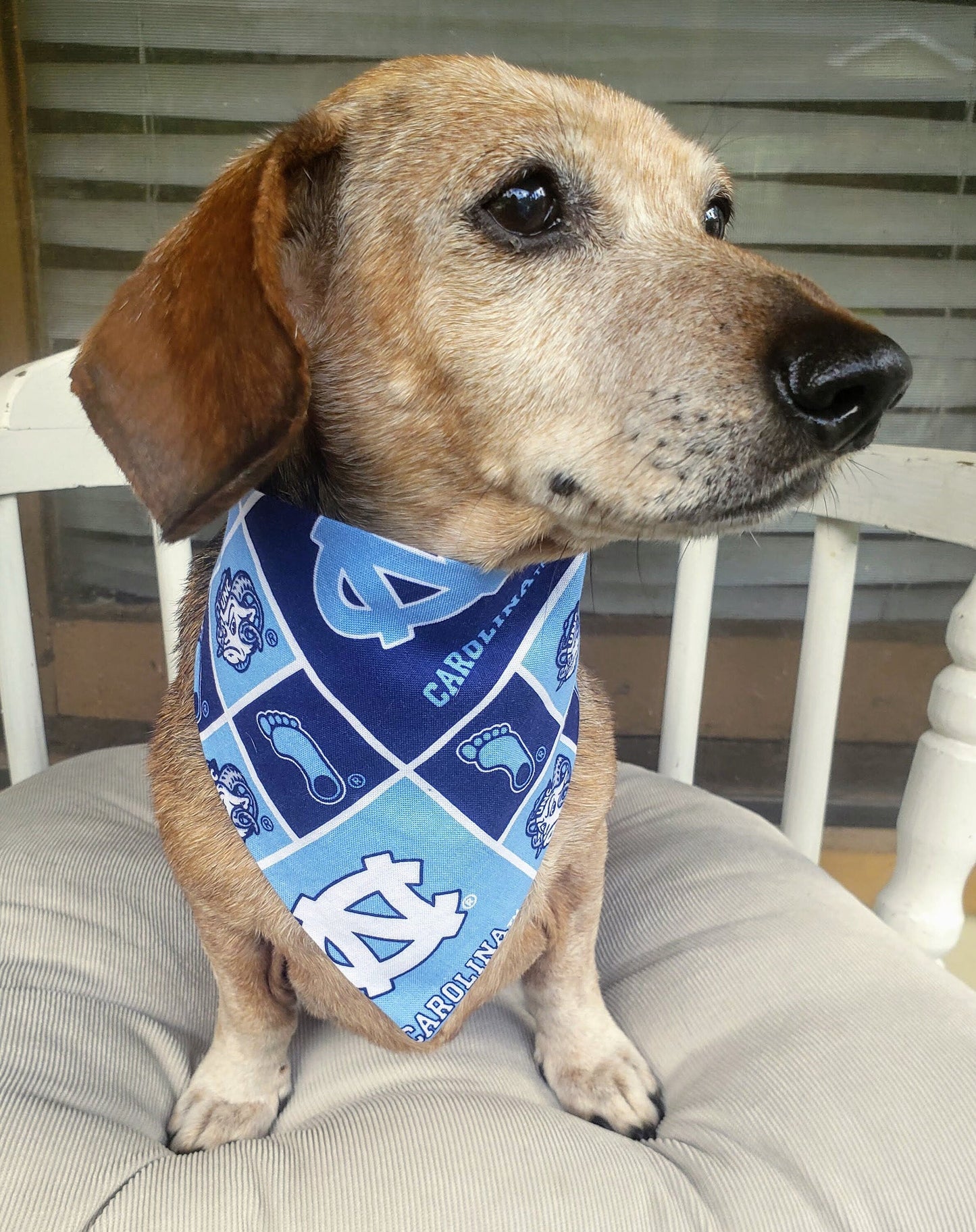 Clip on Dog Bandana With Buckle Pet Cat Bandanna Scarf University of NORTH CAROLINA TARHEELS ncaa unc Handmade to Order