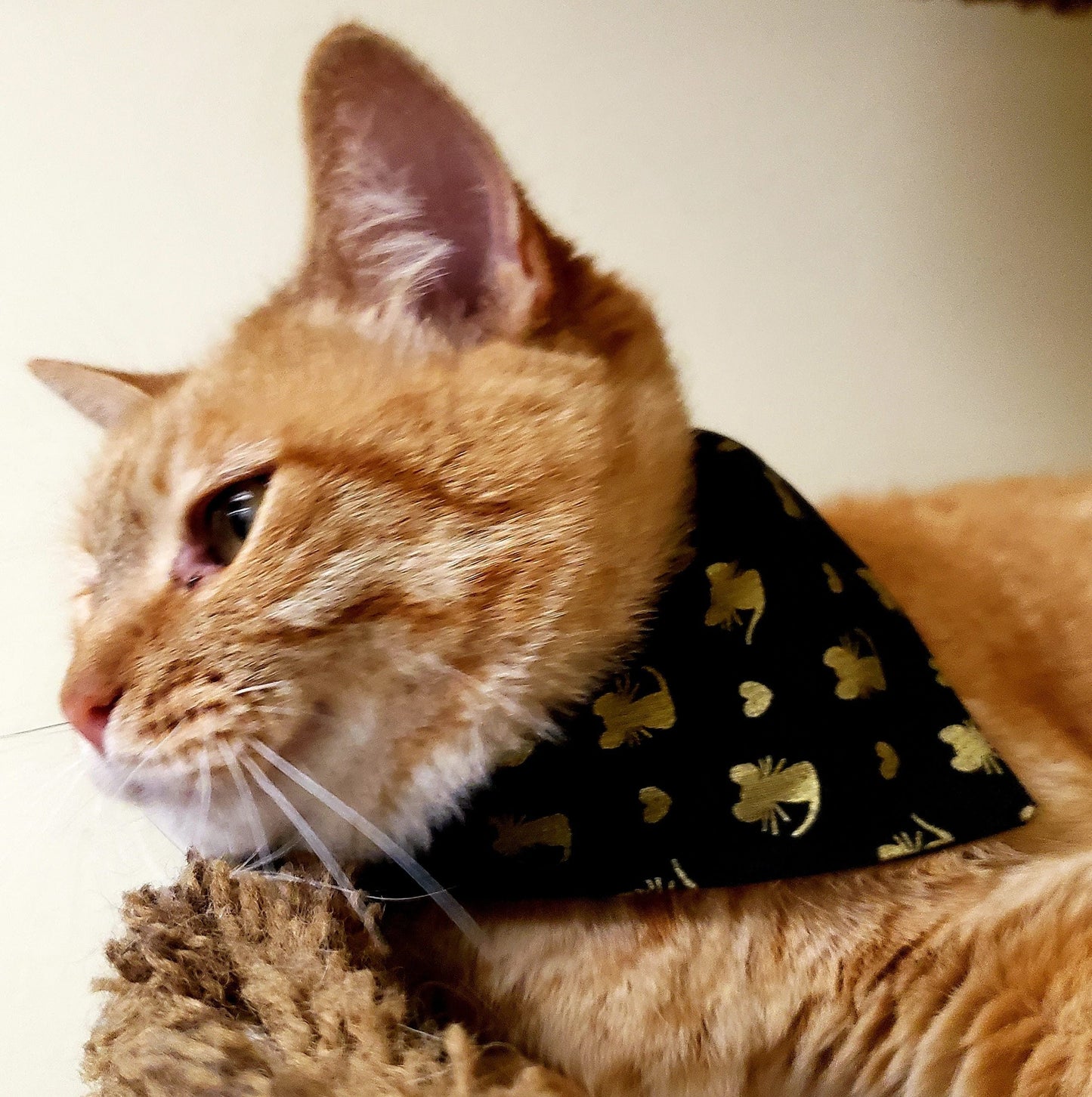 Clip on Dog Bandana With Buckle Cat Pet Dog Bandanna Scarf Gold Mice and Hearts Mouse on Black Cattastic Handmade to Order