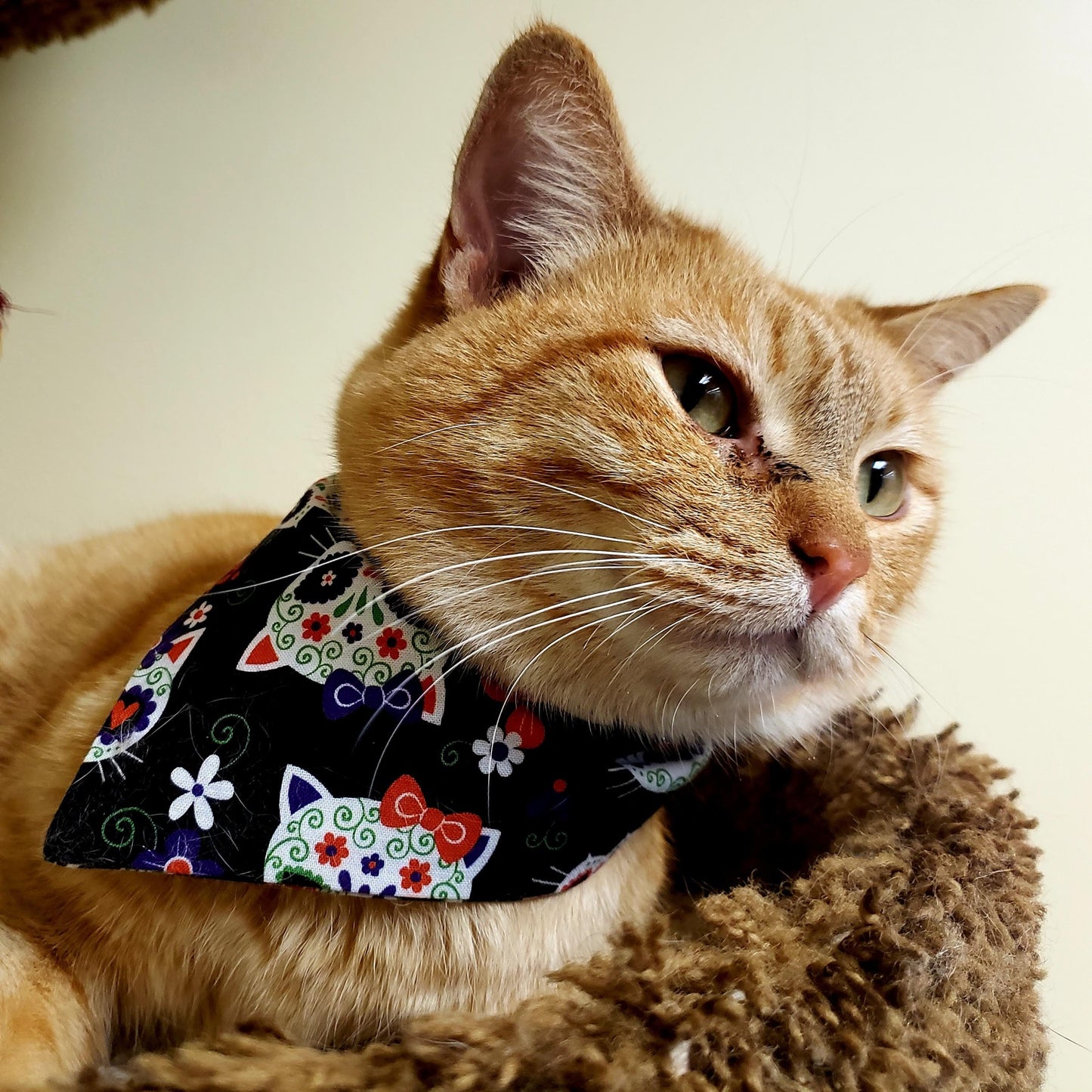 Clip on Dog Bandana With Buckle Pet Cat Bandanna Scarf Cat Sugar Skulls Day of the Dead Dia de los Muertos Handmade to Order
