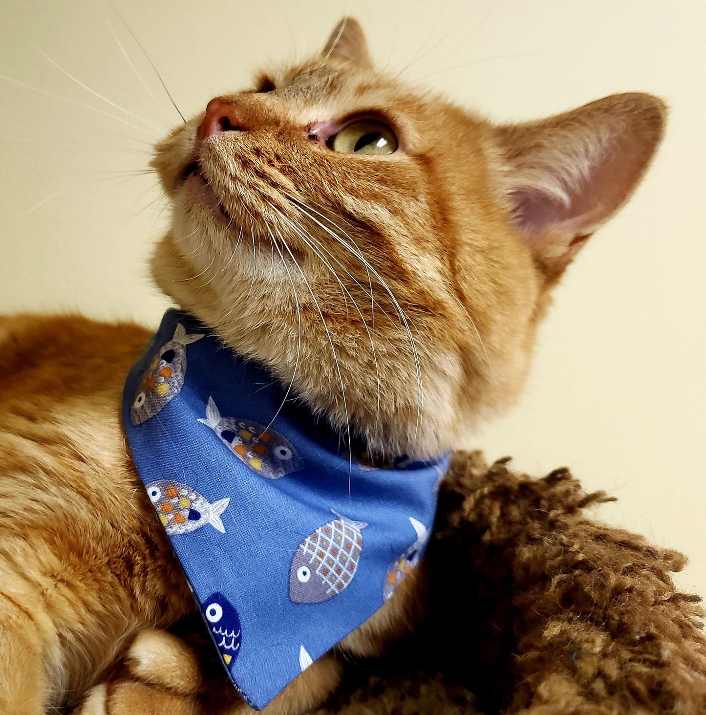 Clip on Dog Bandana With Buckle Pet Cat Bandanna Scarf Swimming Fish on Blue Handmade to Order
