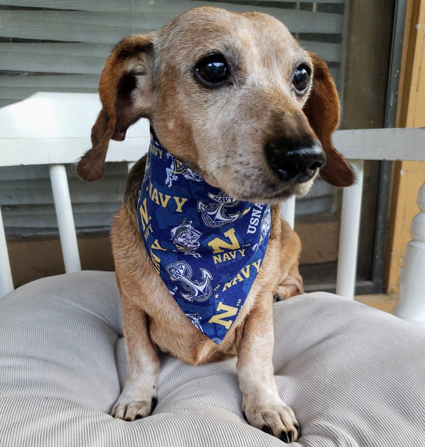 Navy US NAVAL ACADEMY USNA Midshipmen Mids Clip on Dog Bandana With Buckle Pet Cat Bandanna Scarf ncaa Handmade to Order
