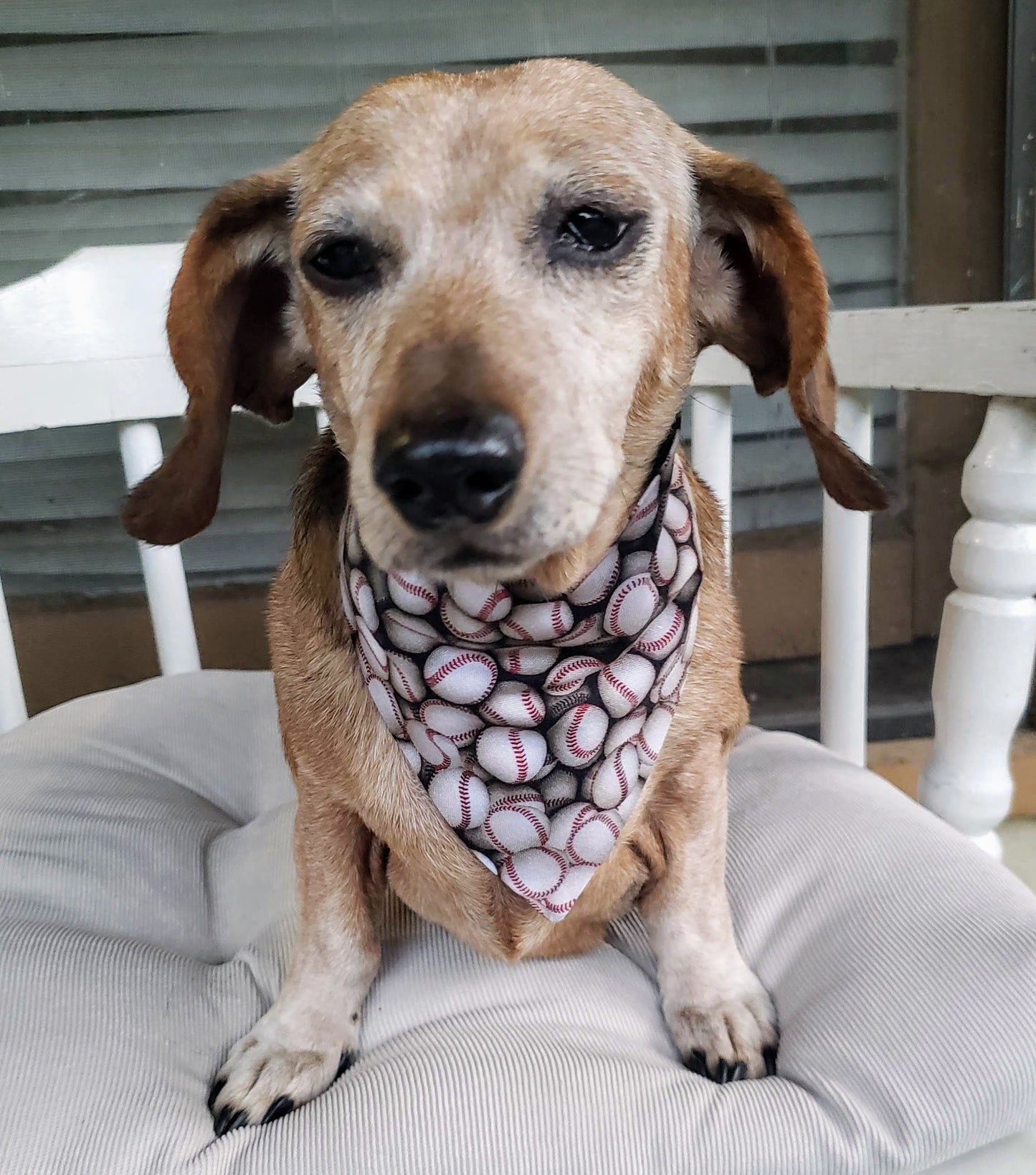 Clip on Dog Bandana With Buckle Pet Cat Bandanna Scarf Baseballs Handmade to Order