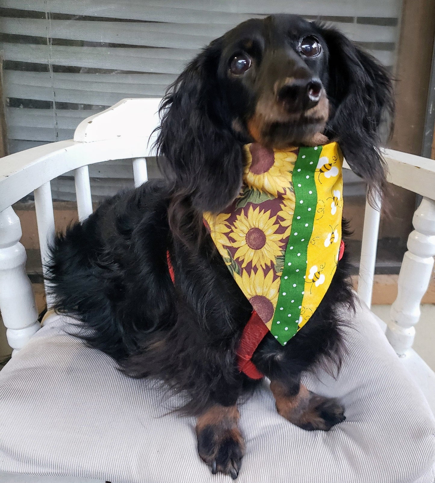 Clip on Dog Bandana With Buckle Pet Cat Bandanna Scarf SUNFLOWERS & BEES Yellow Specialty Exclusive Design Handmade to Order