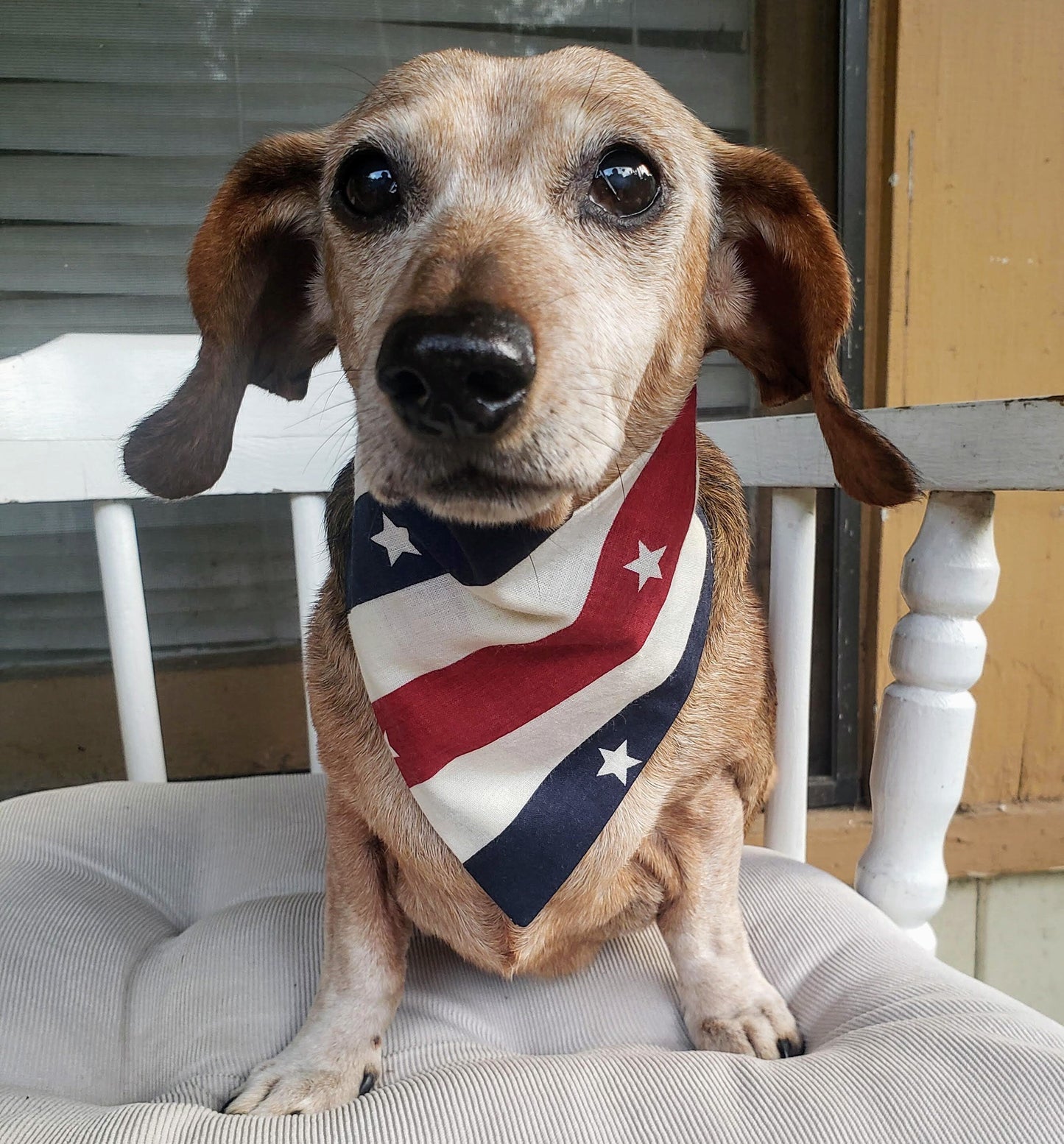 Clip on Dog Bandana With Buckle Pet Cat Bandanna Scarf Vintage Patriotic Red White & Blue Stars and Stripes Handmade to Order