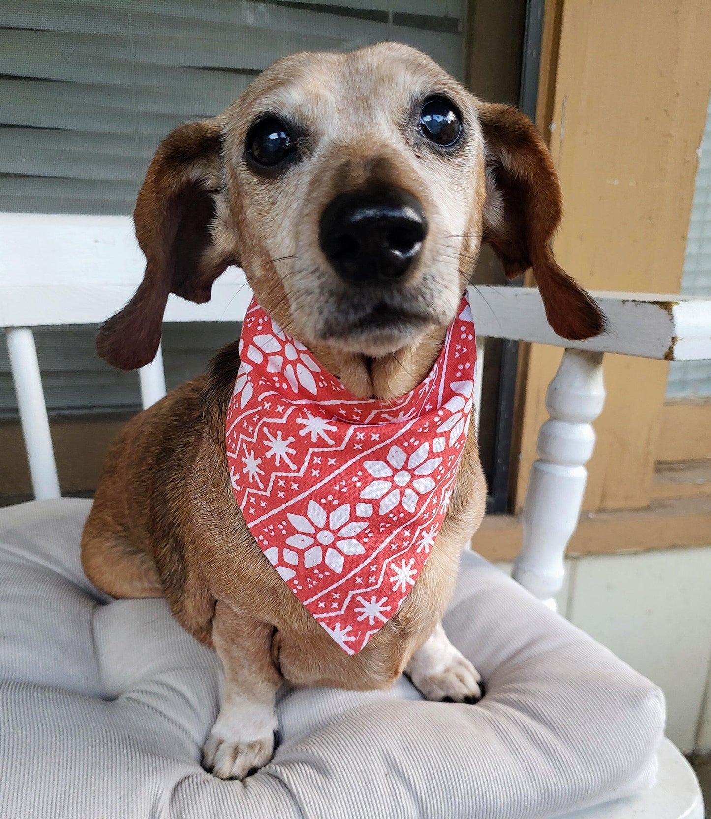 Clip on Dog Bandana With Buckle Pet Cat Bandanna Scarf Red & White Scandinavian Snowflake Sweater Pattern Handmade to Order