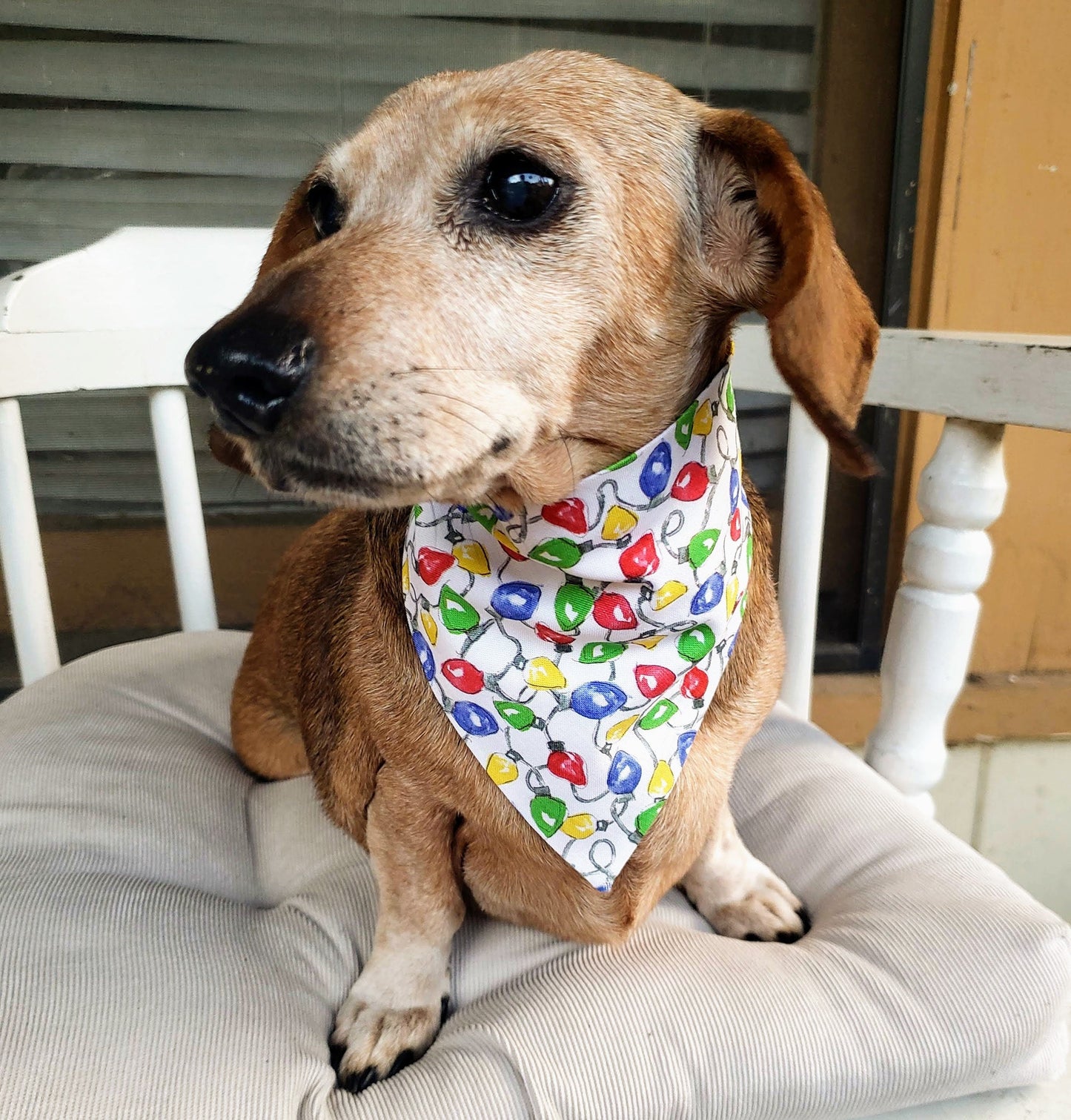 Christmas Lights Clip on Dog Bandana With Buckle Pet Cat Bandanna Handmade to Order