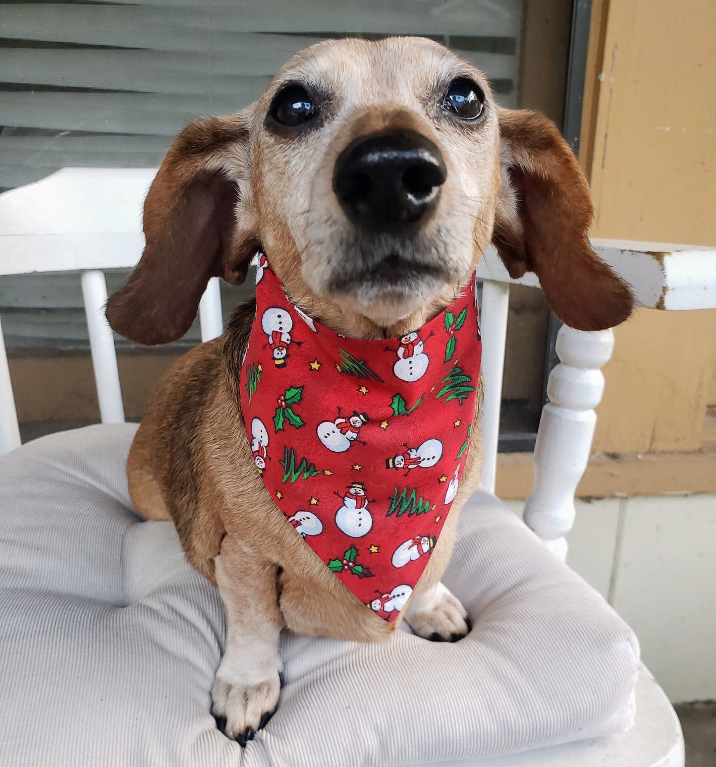 Snowman & Christmas Trees Winter Print Clip on Dog Bandana With Buckle Pet Cat Bandanna Handmade to Order