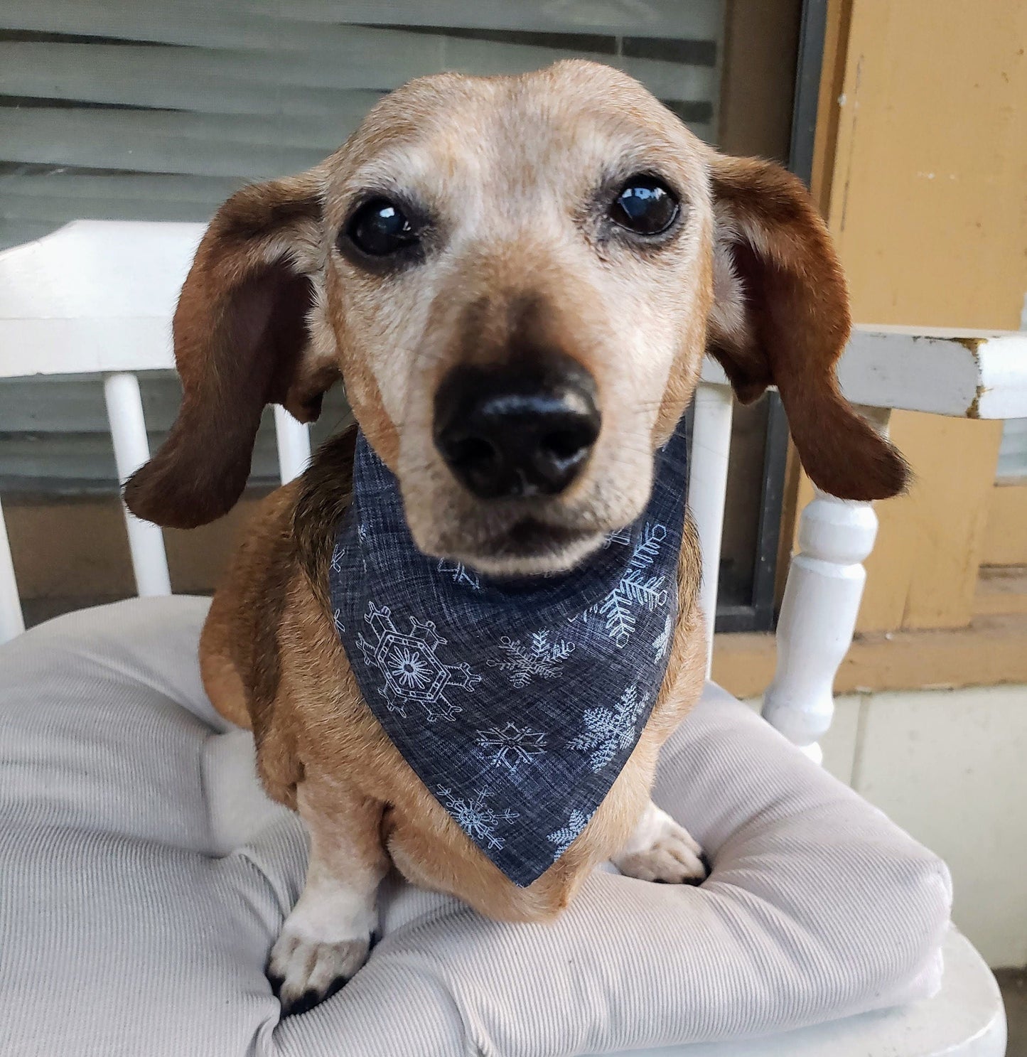 Gray Snowflake Winter Christmas Holiday Clip on Dog Bandana With Buckle Pet Cat Bandanna Handmade to Order