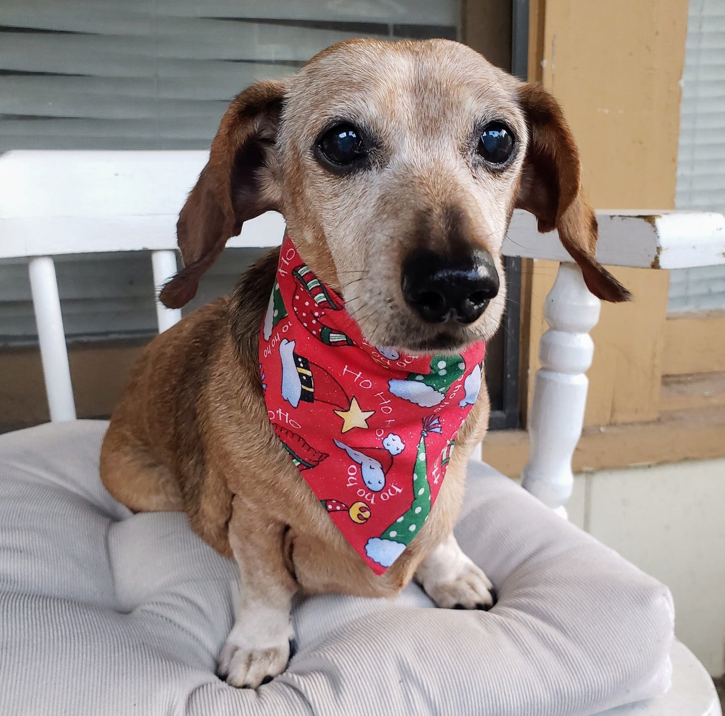 Clip on Dog Bandana With Buckle Pet Cat Bandanna Scarf Red Green Santa Claus Hats Christmas Winter Print Handmade to Order