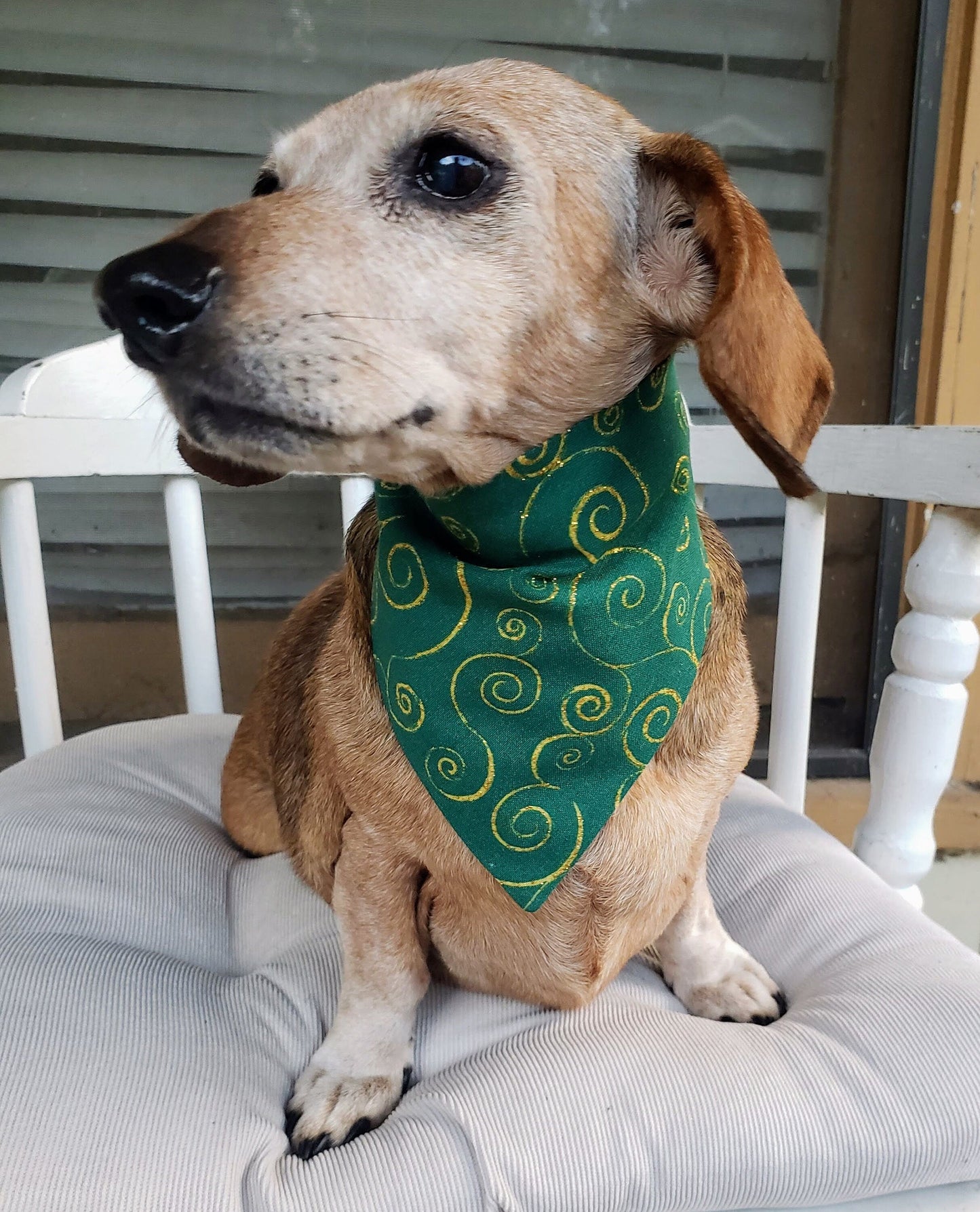 Gold Scrolls Christmas Winter Holida Print Clip on Dog Bandana With Buckle Pet Cat Bandanna Handmade to Order