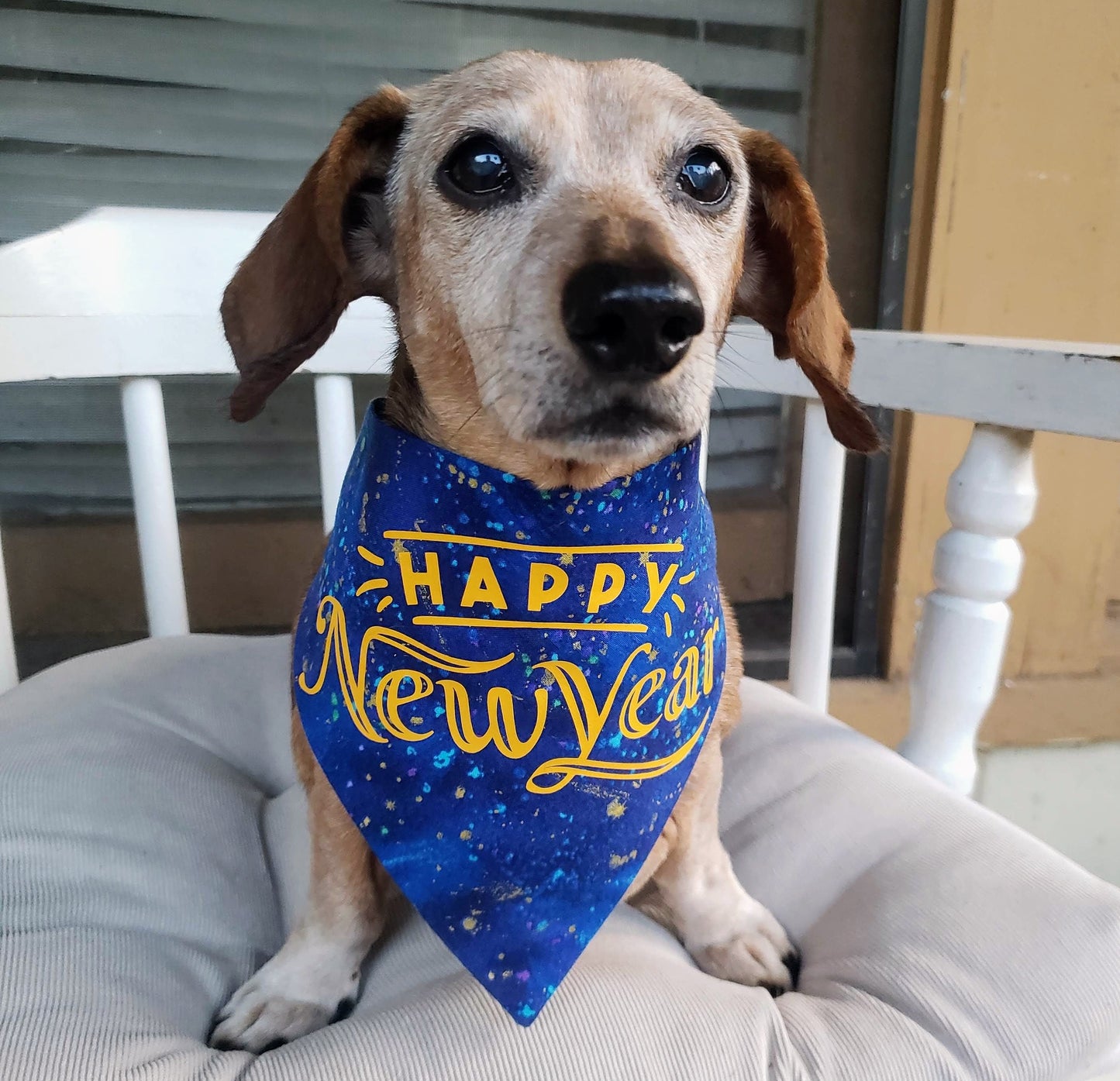 Clip on Dog Bandana With Buckle Pet Cat Bandanna Scarf Happy New Year Yellow Vinyl on Blue Confetti Paint Splatter Print Handmade to Order