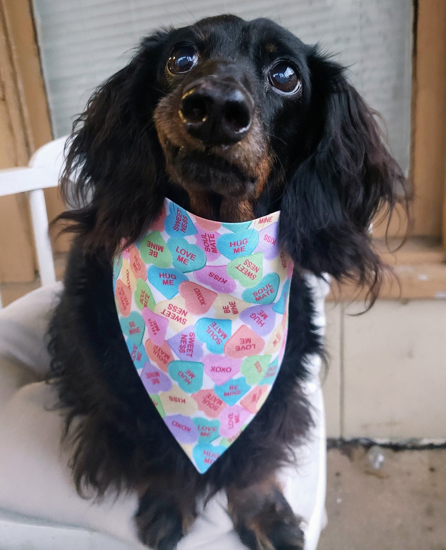 Sweethearts Pastel Candies Valentine's Day Clip on Dog Bandana With Buckle Pet Cat Bandanna Handmade to Order