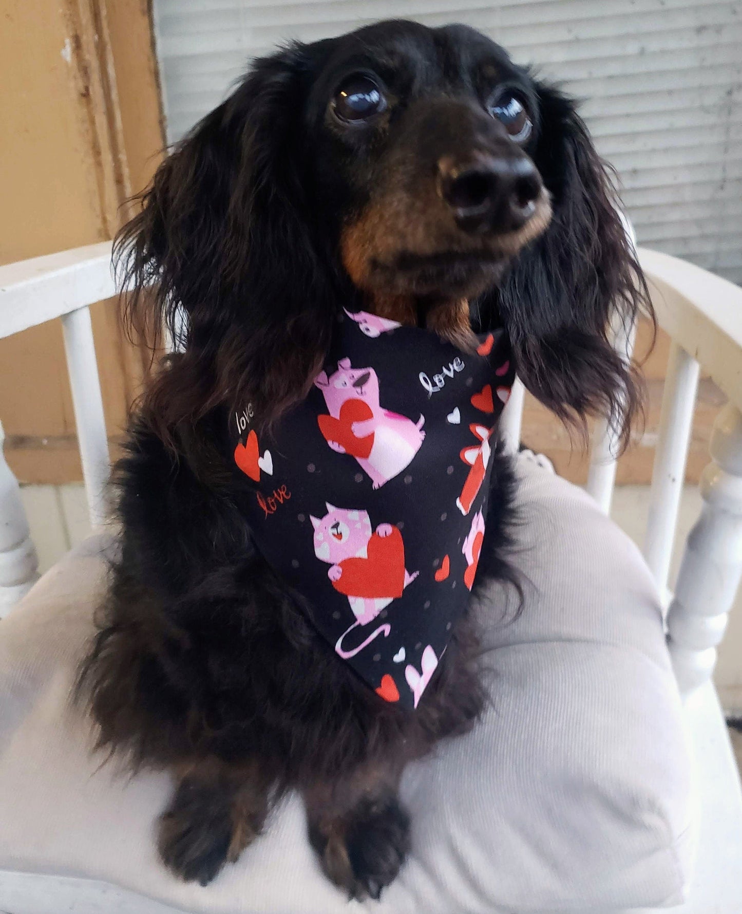 Clip on Dog Bandana With Buckle Pet Cat Bandanna Scarf Valentine's Day Cat & Dog Love Red Hearts on Black Handmade to Order