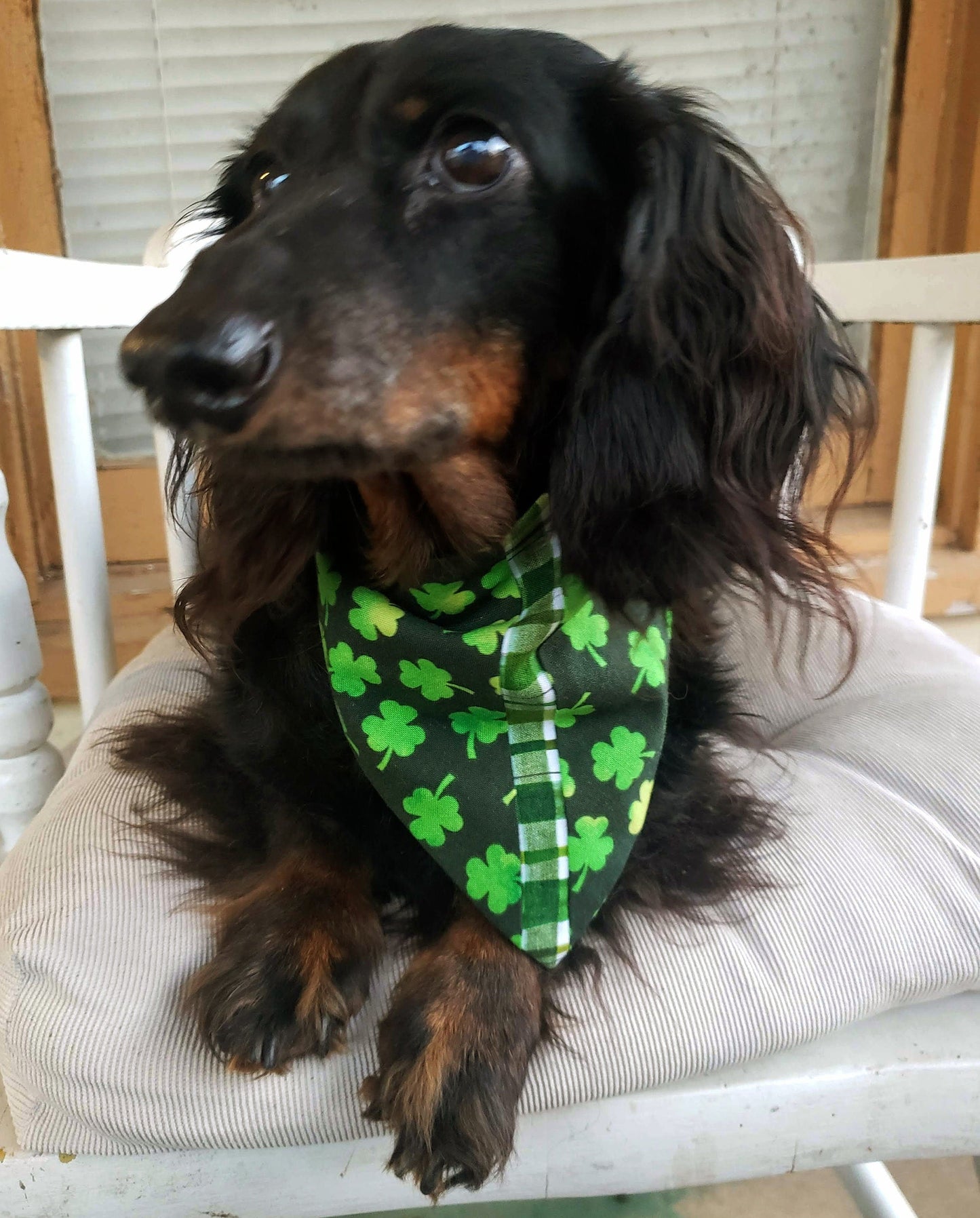 Clip on Dog Bandana With Buckle Pet Cat Bandanna Scarf St Patrick's Day Lucky Green Shamrocks Plaid Exclusive Handmade to Order