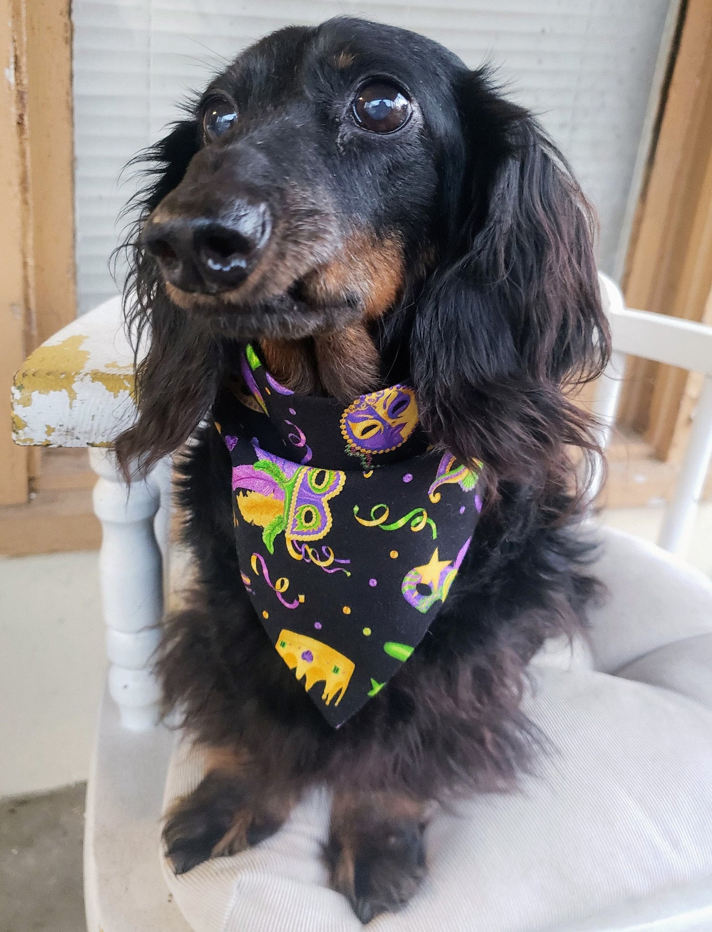 Masks Mardi Gras NOLA New Orleans Clip on Dog Bandana With Buckle Pet Cat Bandanna Handmade to Order